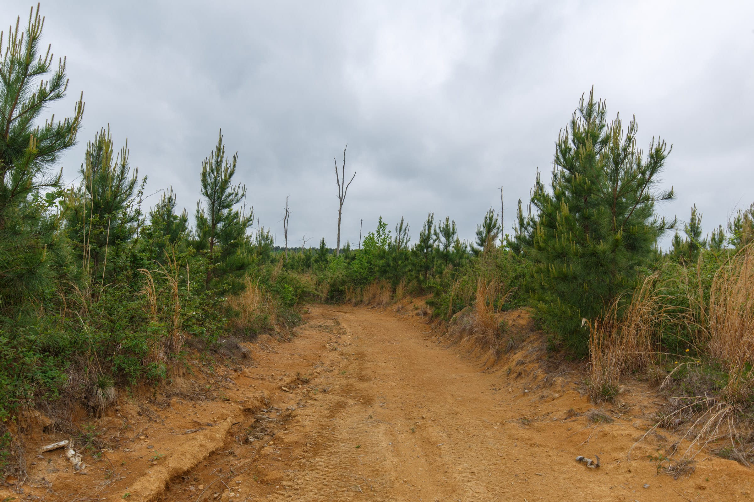Red Barn Ranch Tract 15 photo 4