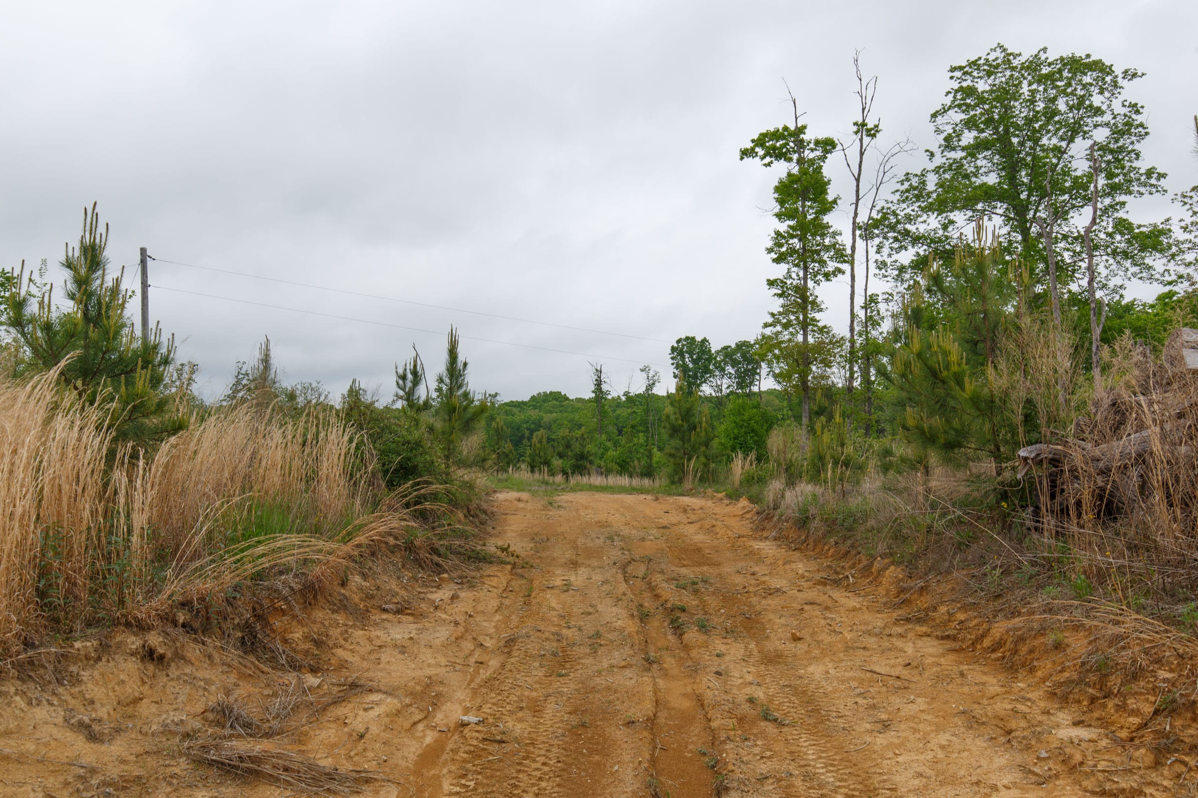 Red Barn Ranch Tract 15 photo 7