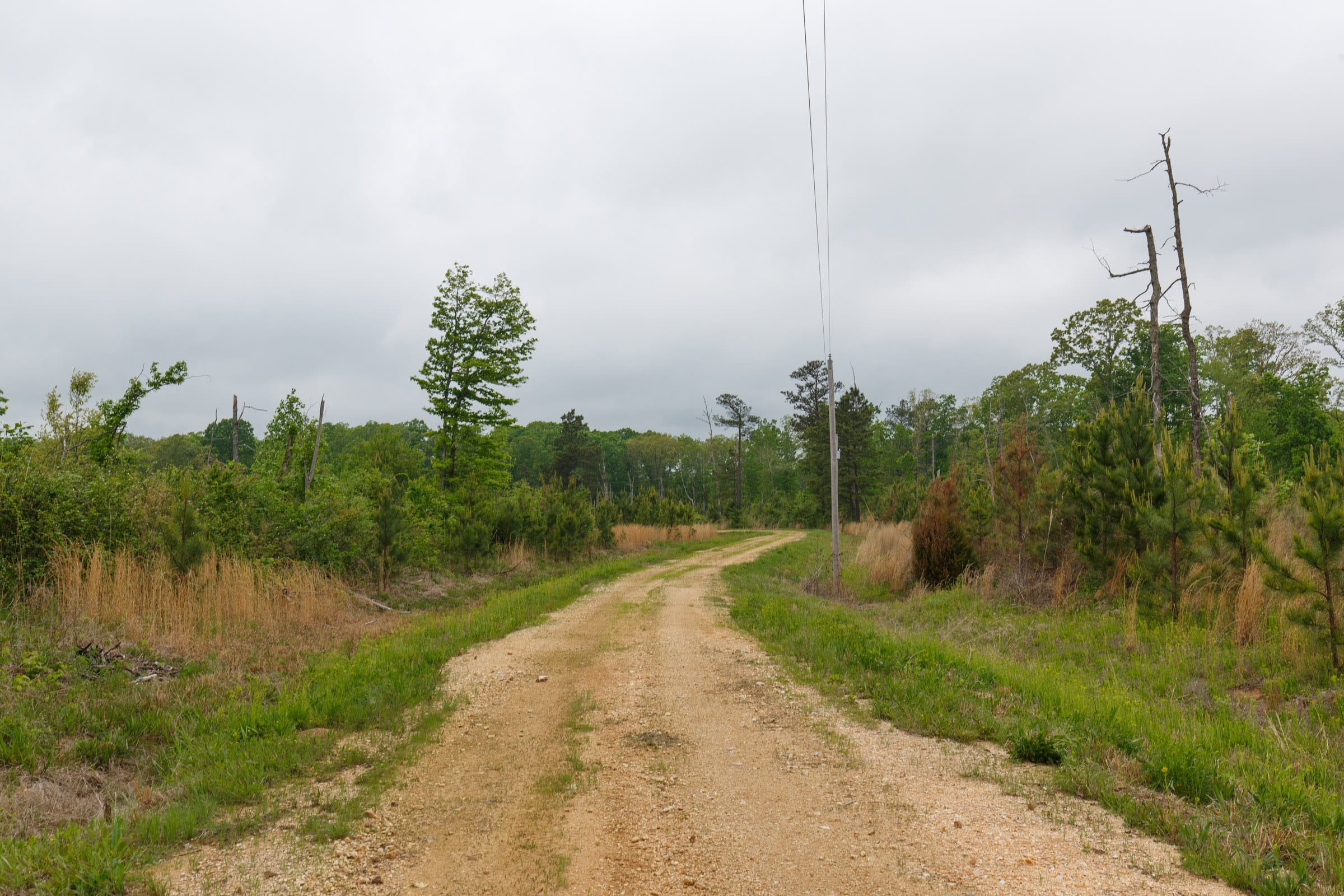 Red Barn Ranch Tract 15 photo 1