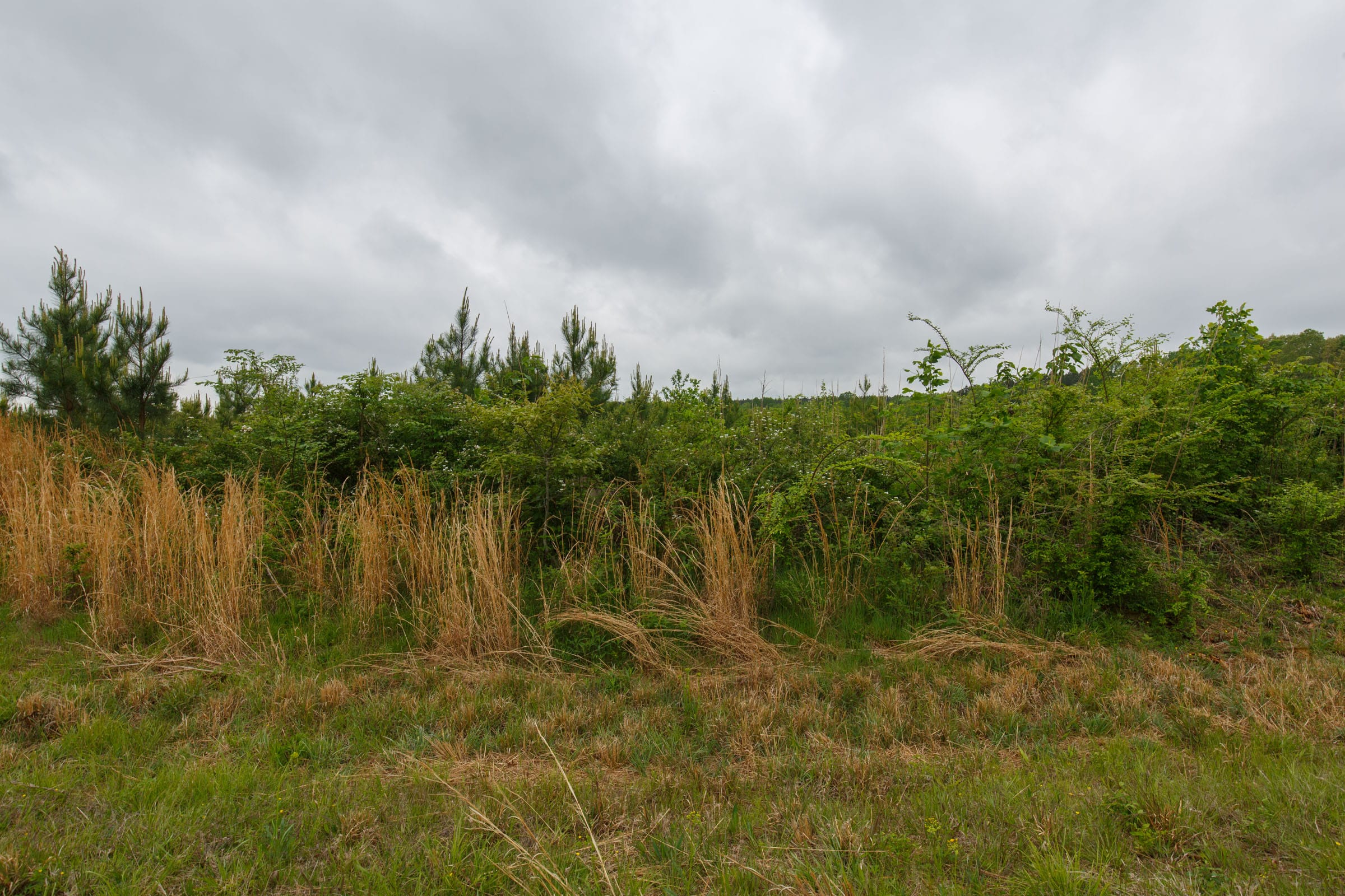Red Barn Ranch Tract 15 photo 8