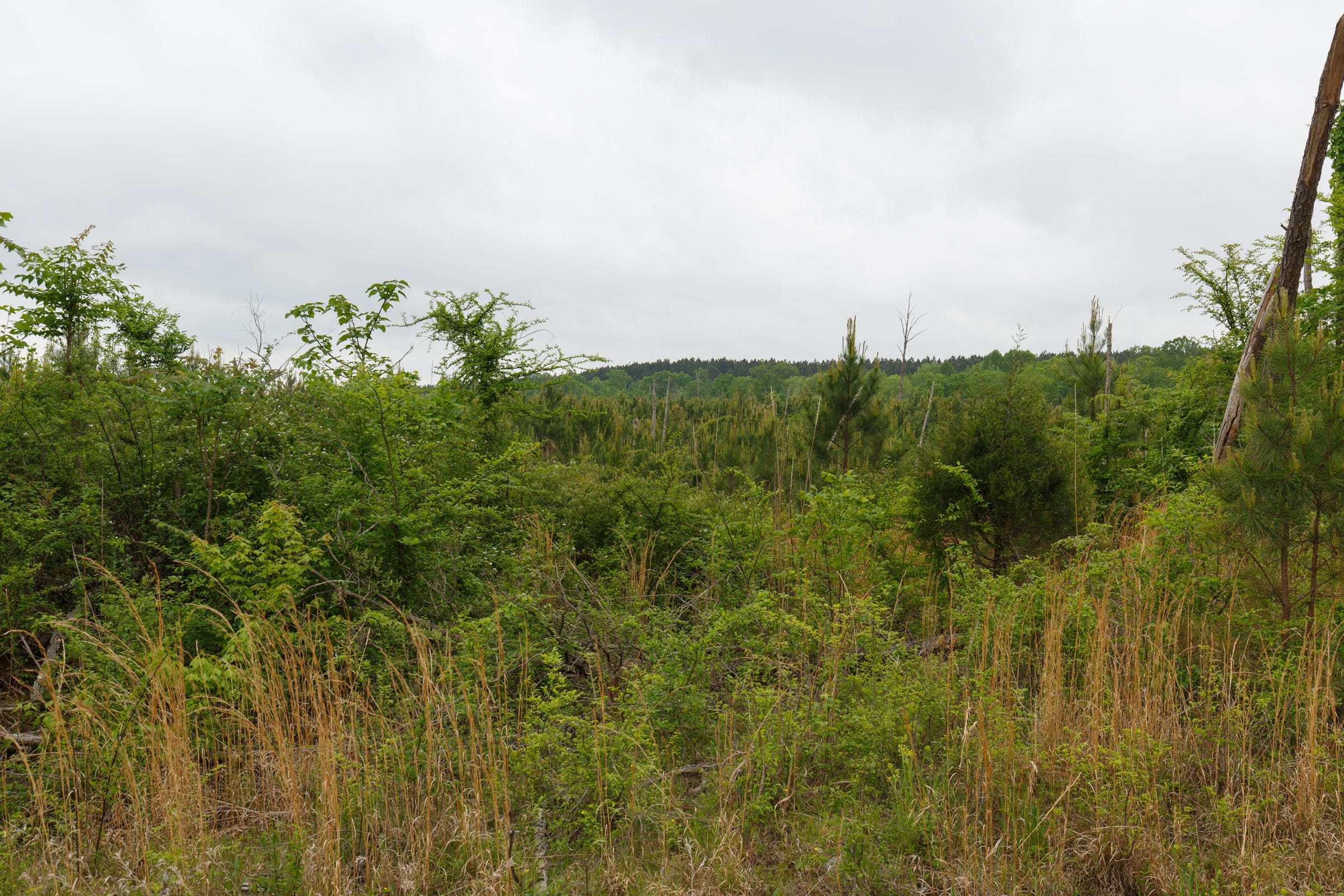 Red Barn Ranch Tract 15 photo 9