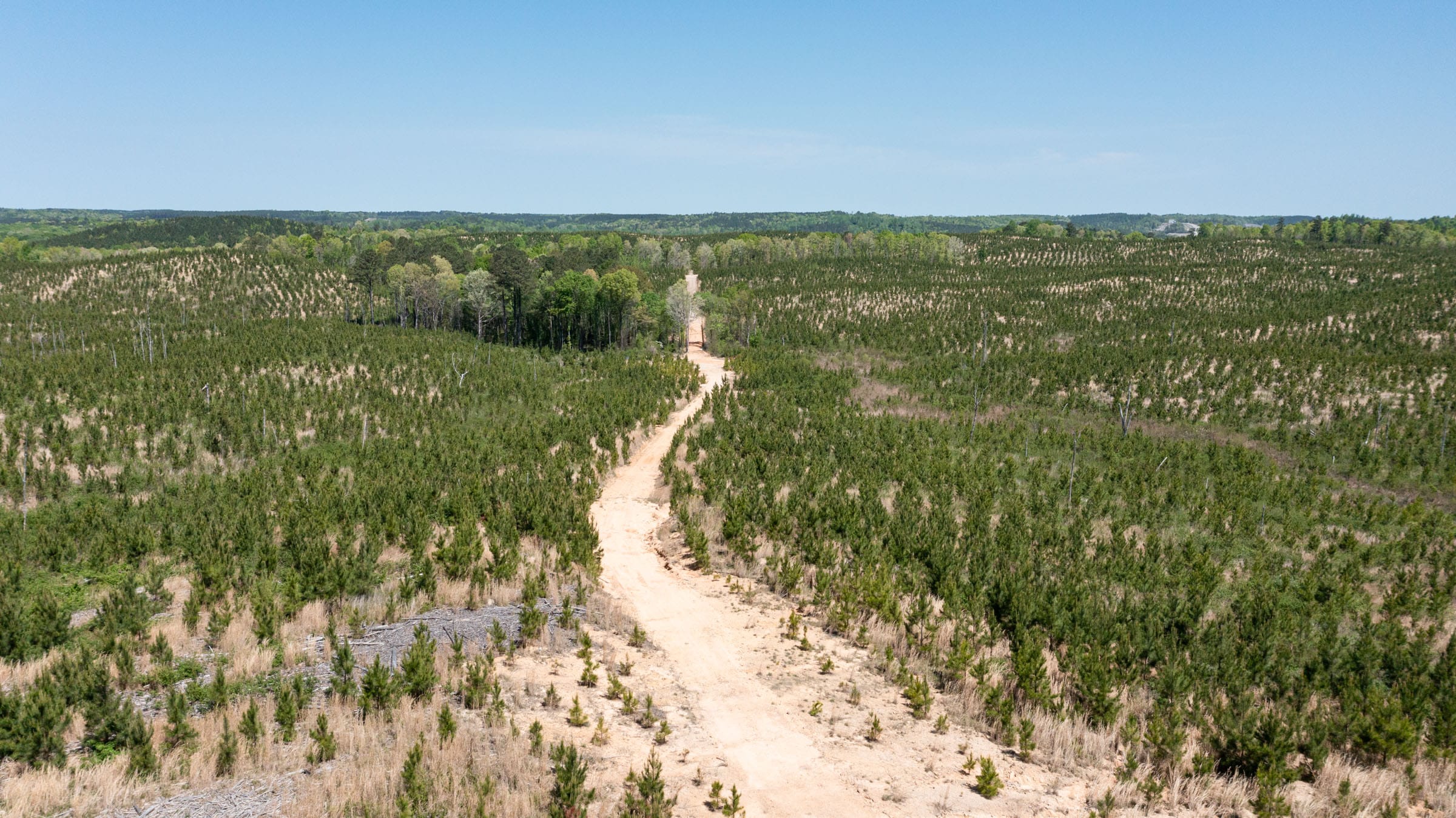 Clear Wood Tract 55 photo 5