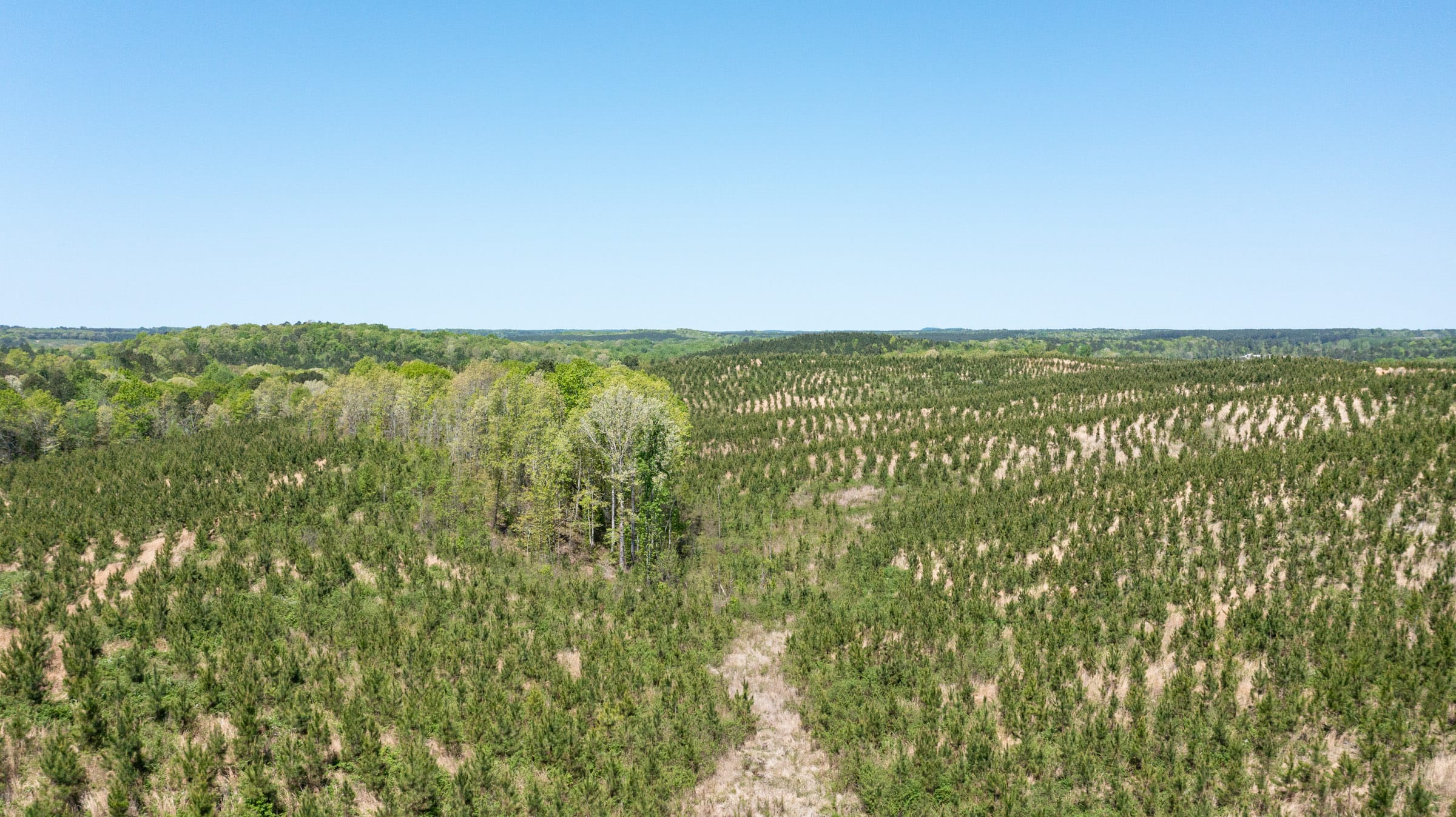 Clear Wood Tract 55 photo 6