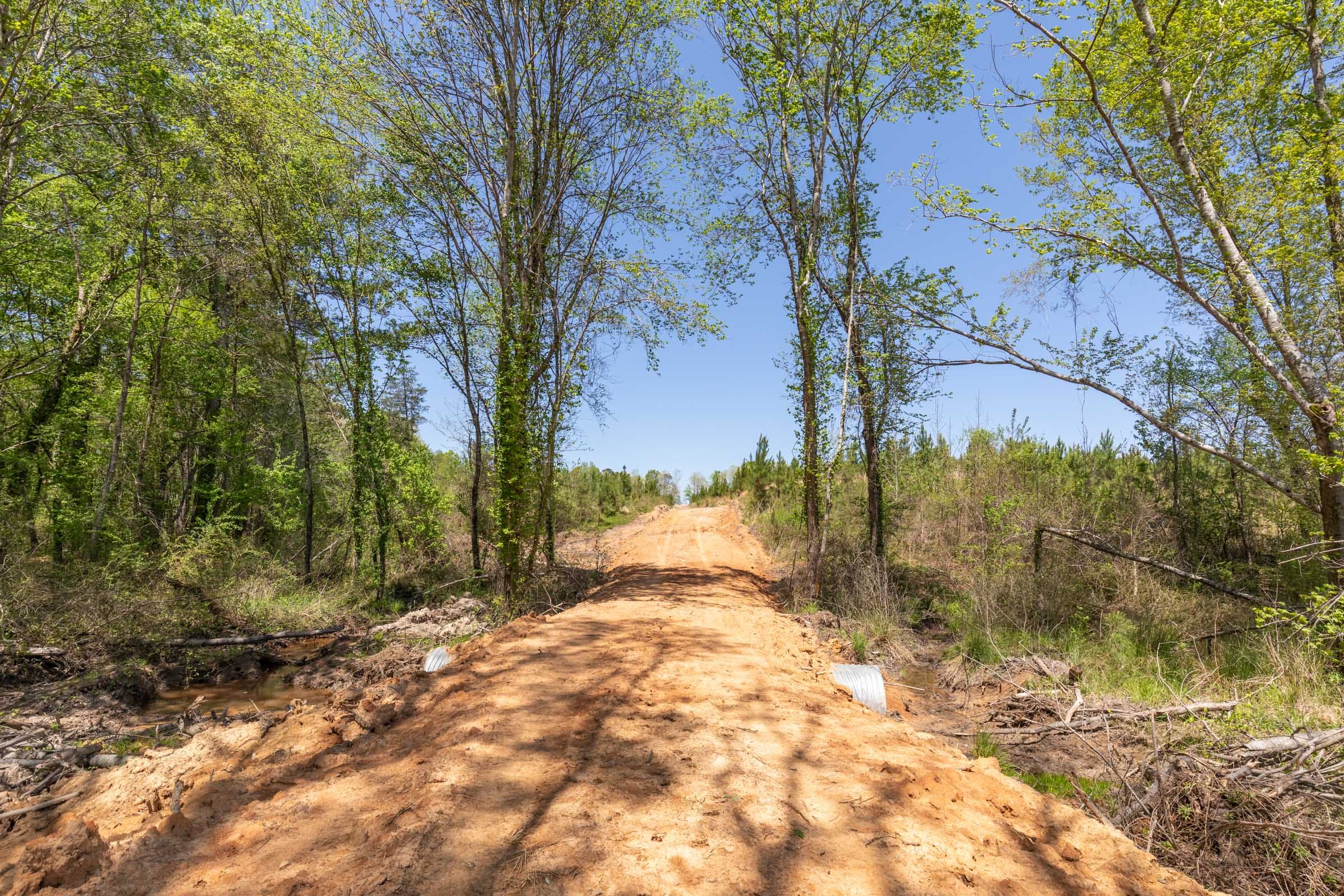 Clear Wood Tract 55 photo 1