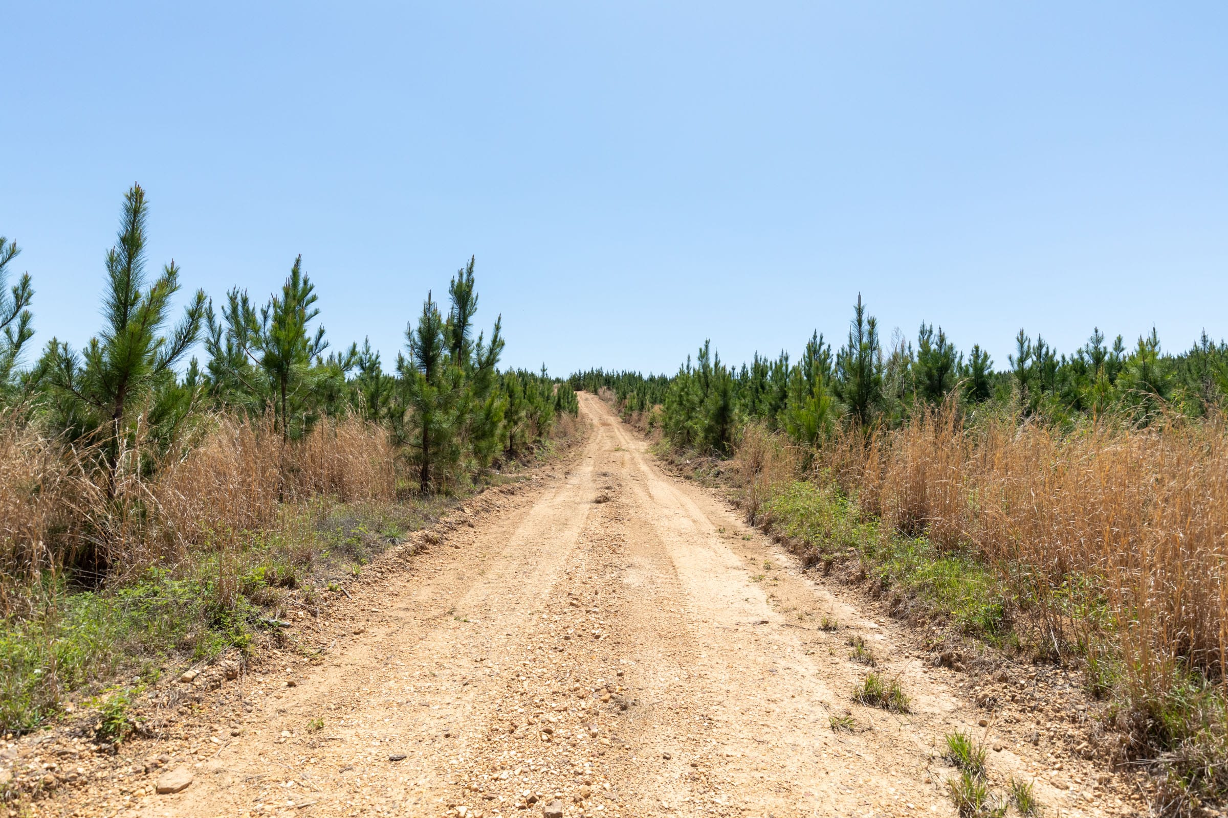 Clear Wood Tract 55 photo 15