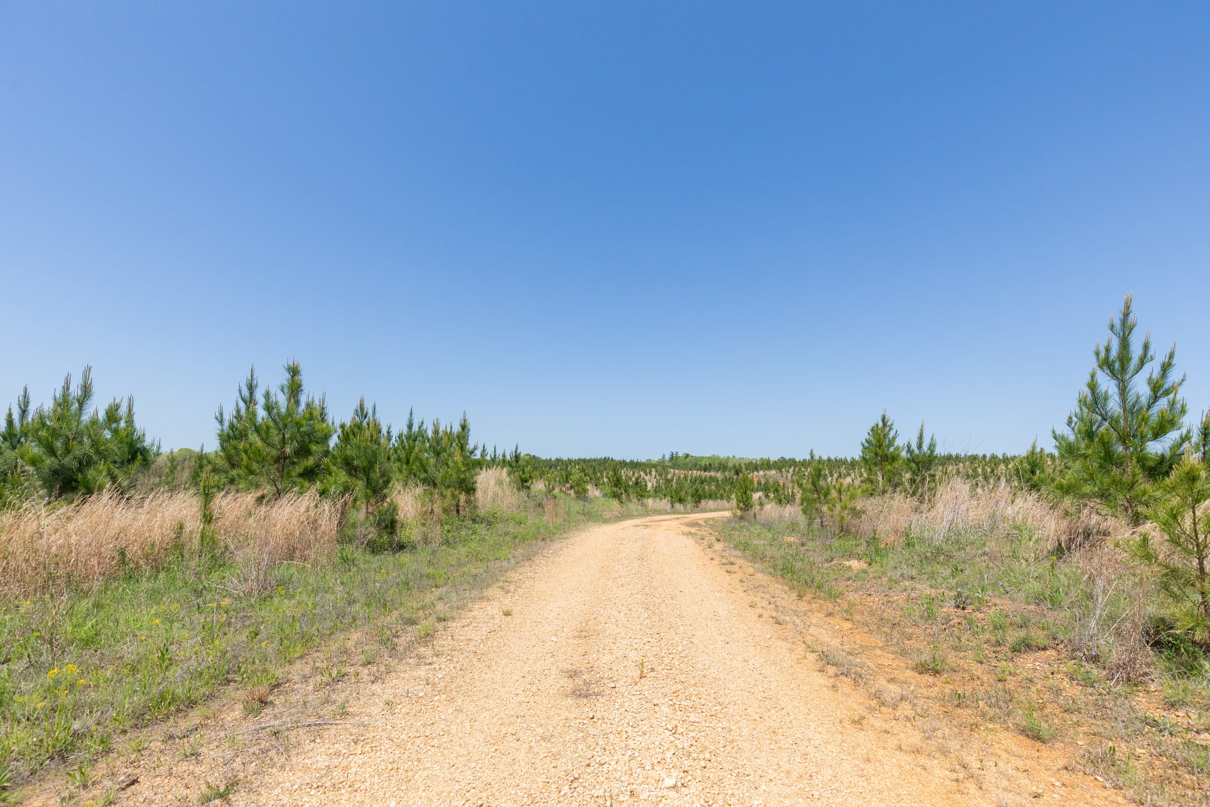 Clear Wood Tract 55 photo 17