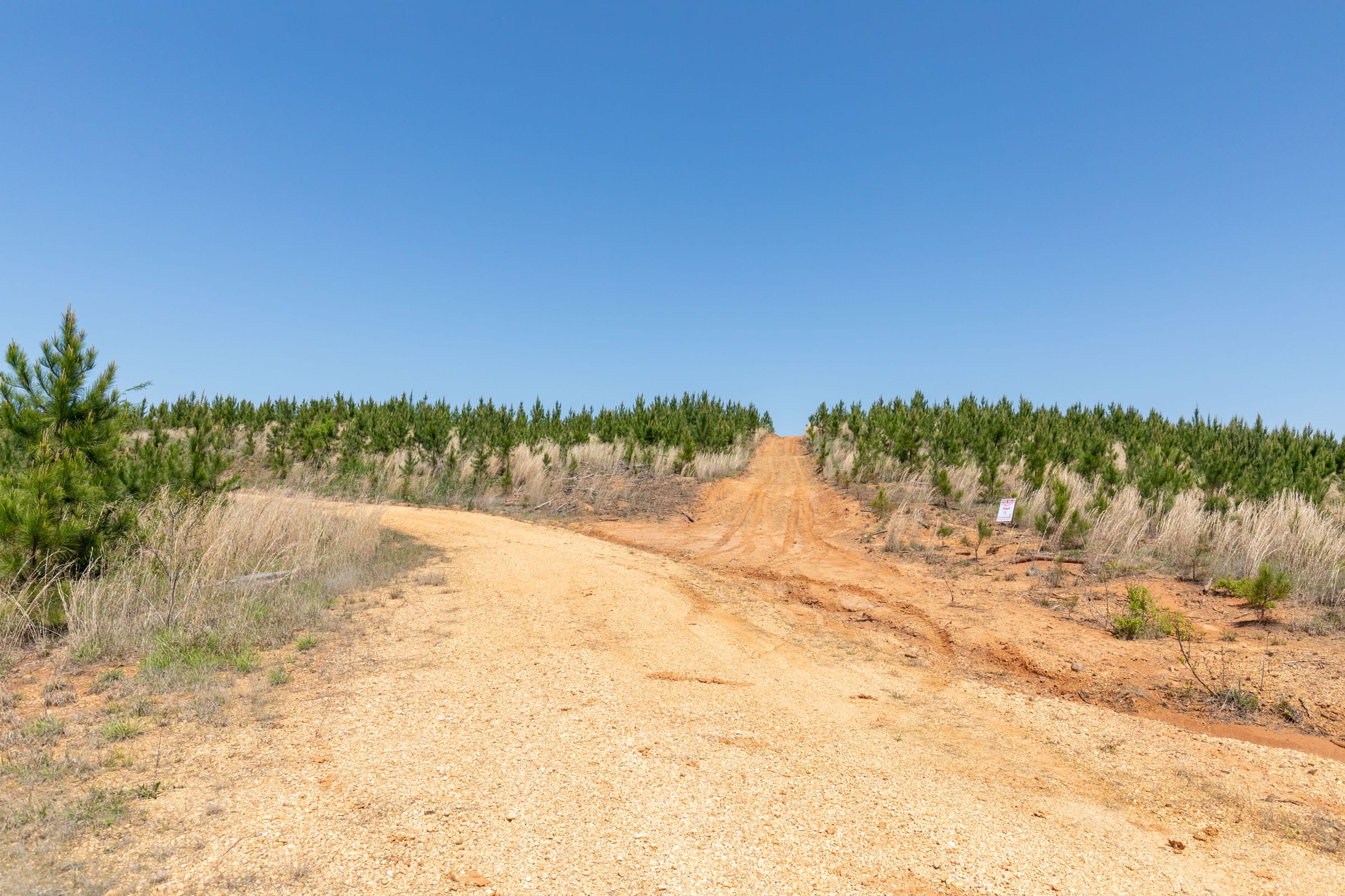 Clear Wood Tract 55 photo 22