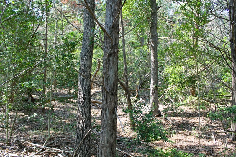 Tahitian Village Tract 460 photo 1