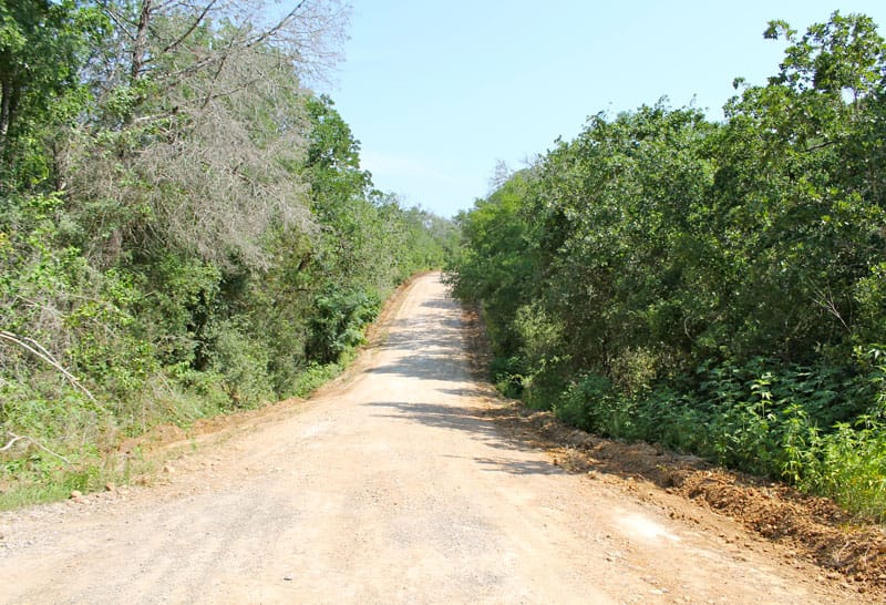 Tahitian Village Tract 460 photo 2