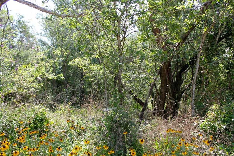 Tahitian Village Tract 460 photo 8