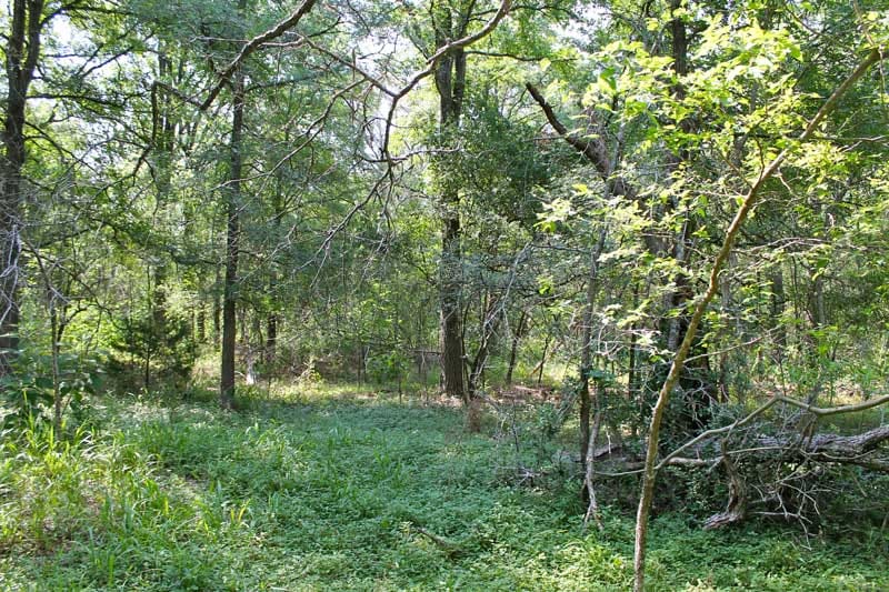 Tahitian Village Tract 460 photo 10