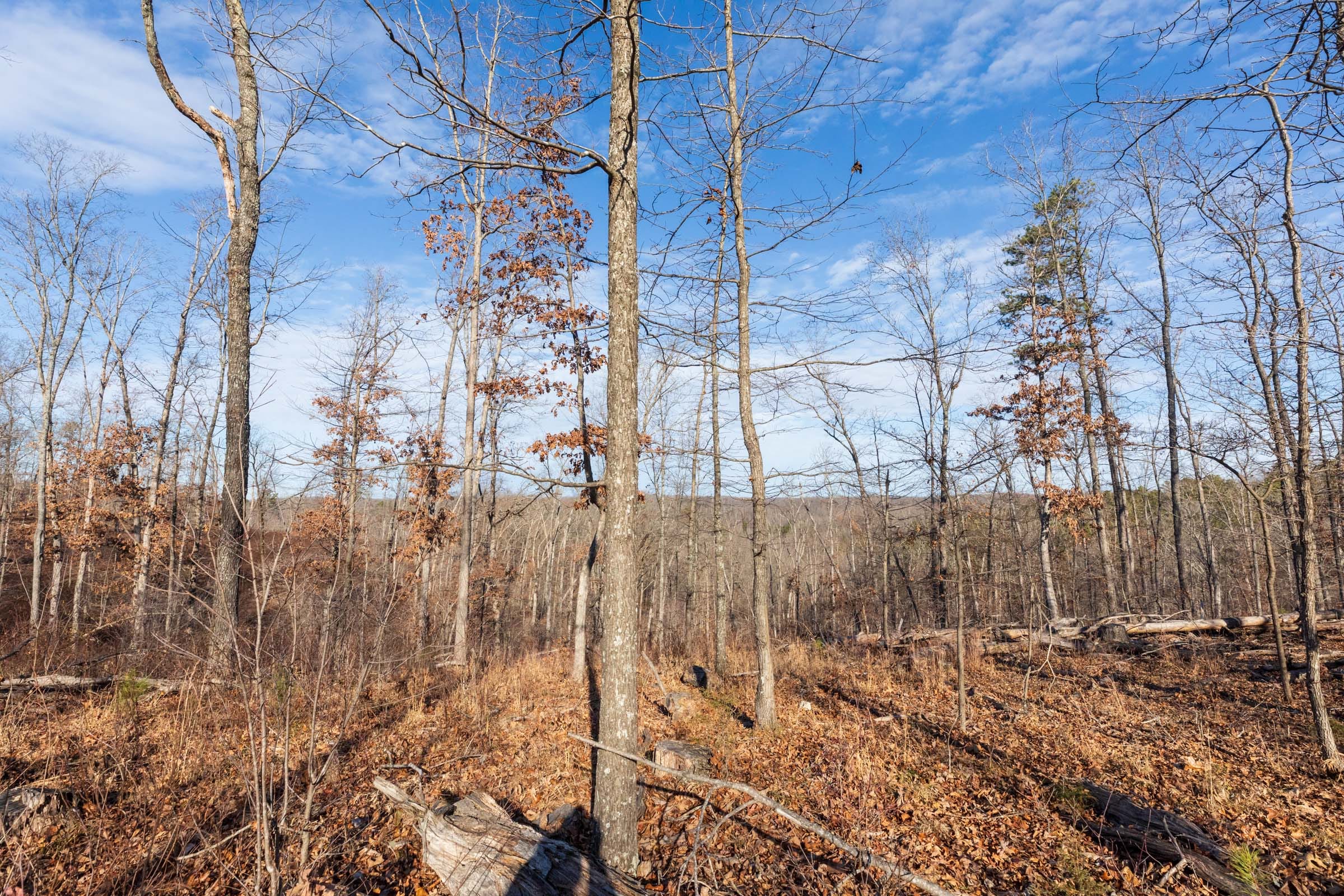 Cypress Ridge Tract 36 photo 2