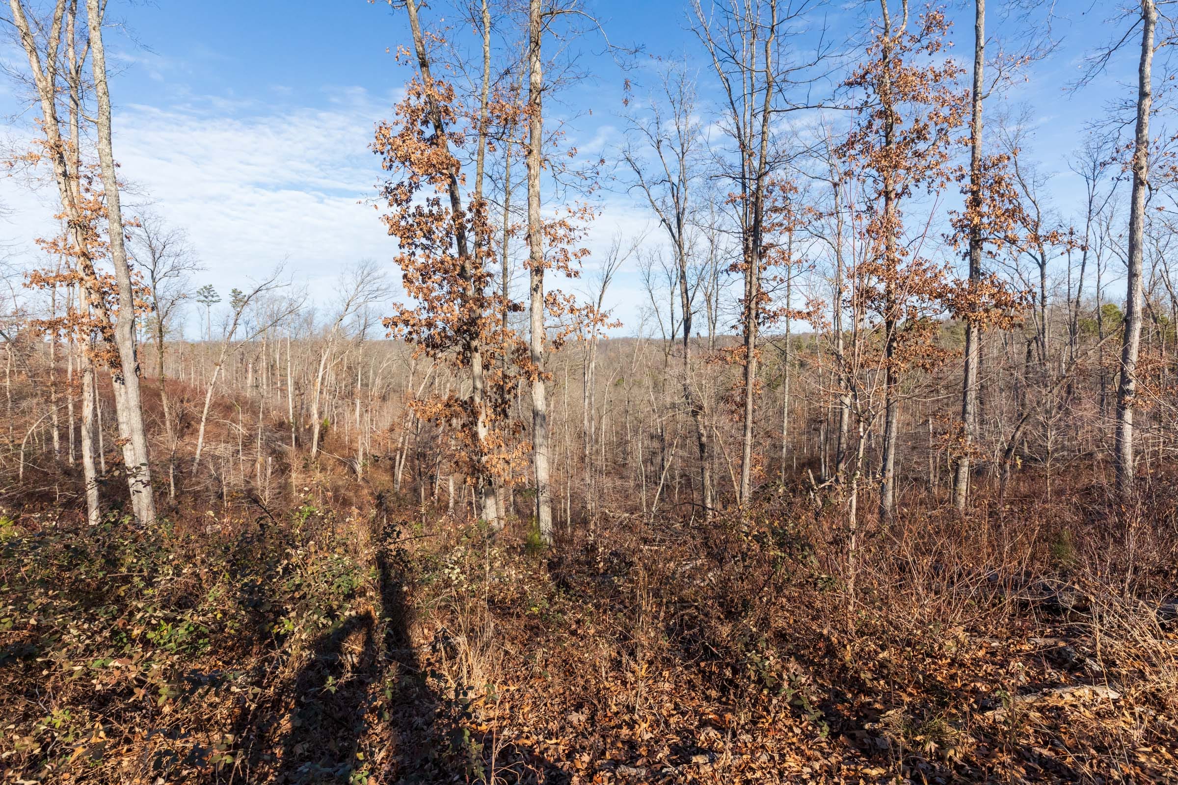Cypress Ridge Tract 36 photo 8