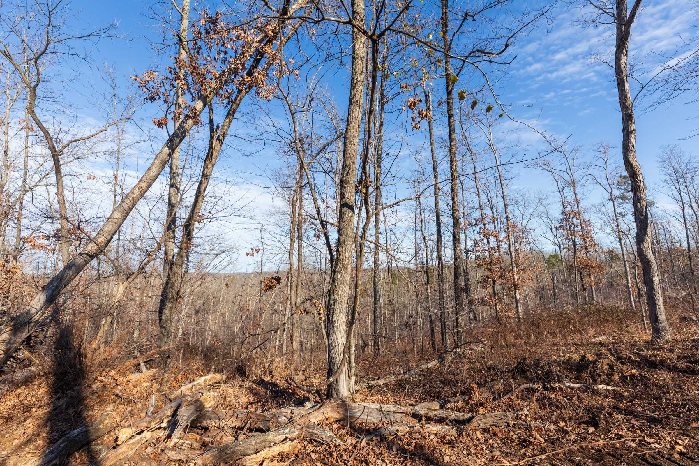 Cypress Ridge Tract 36 photo 6