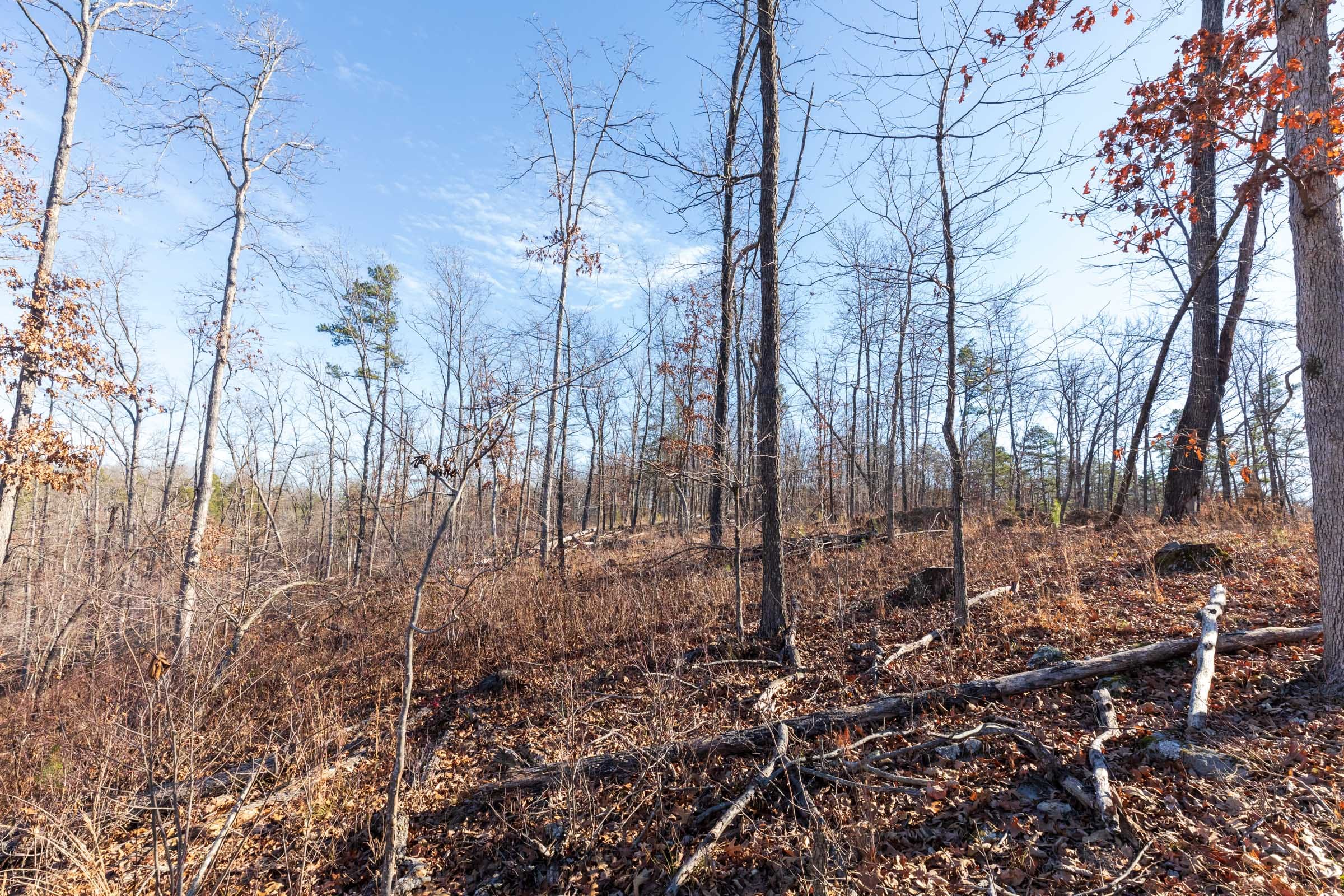 Cypress Ridge Tract 36 photo 5