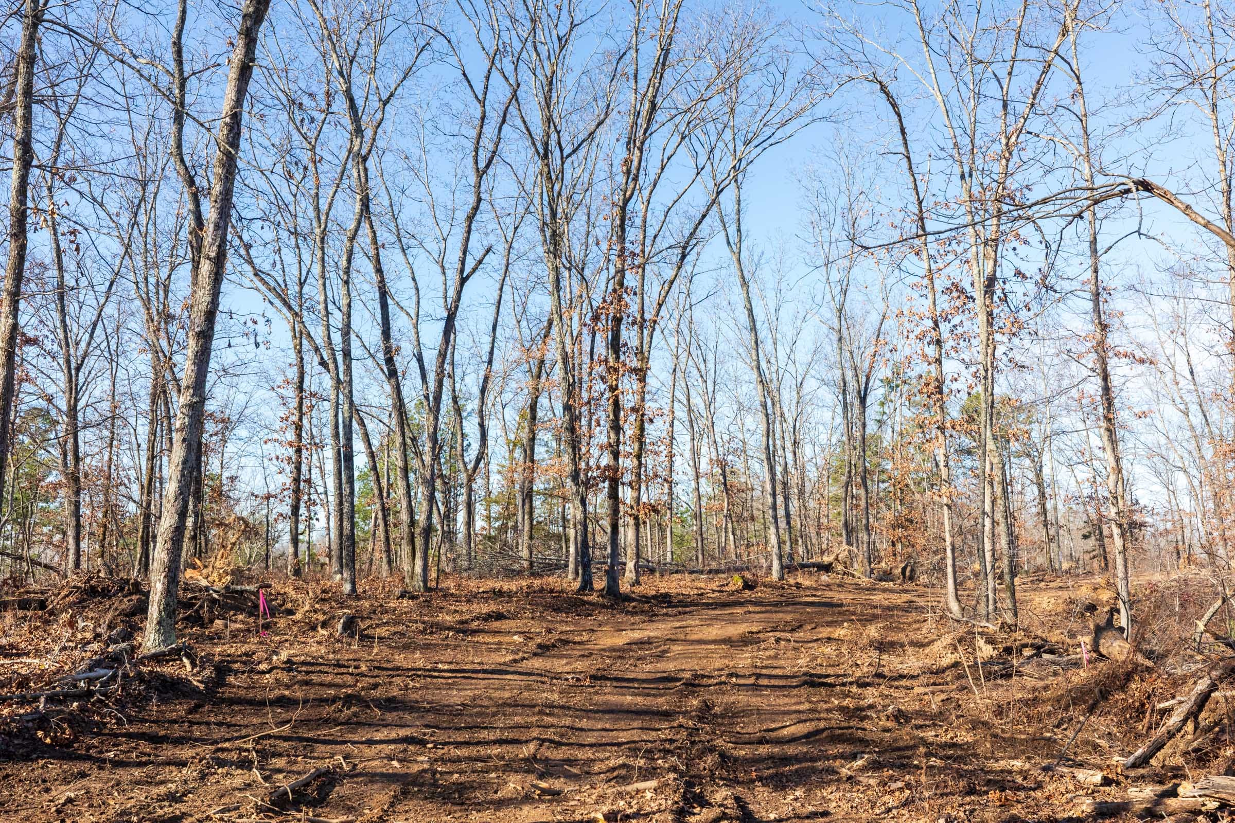 Cypress Ridge Tract 36 photo 1
