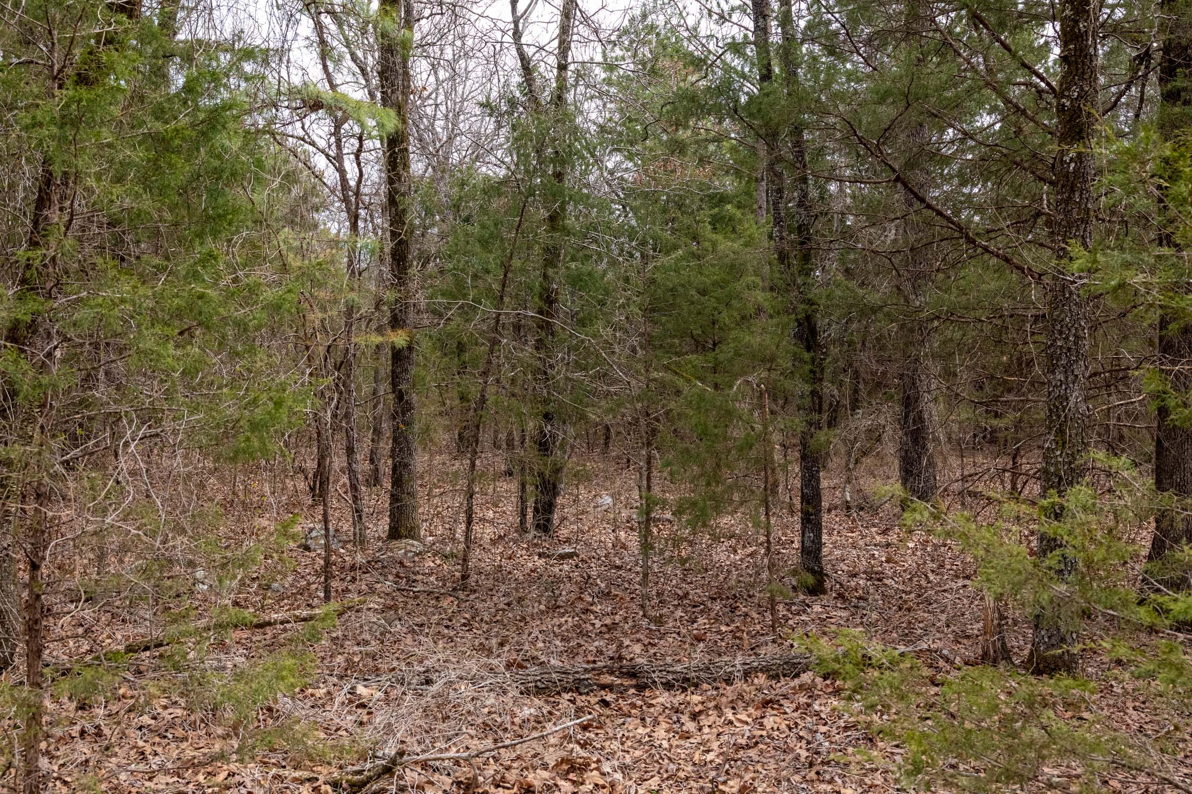 Stone Bridge Phase III Tract 168 photo 4