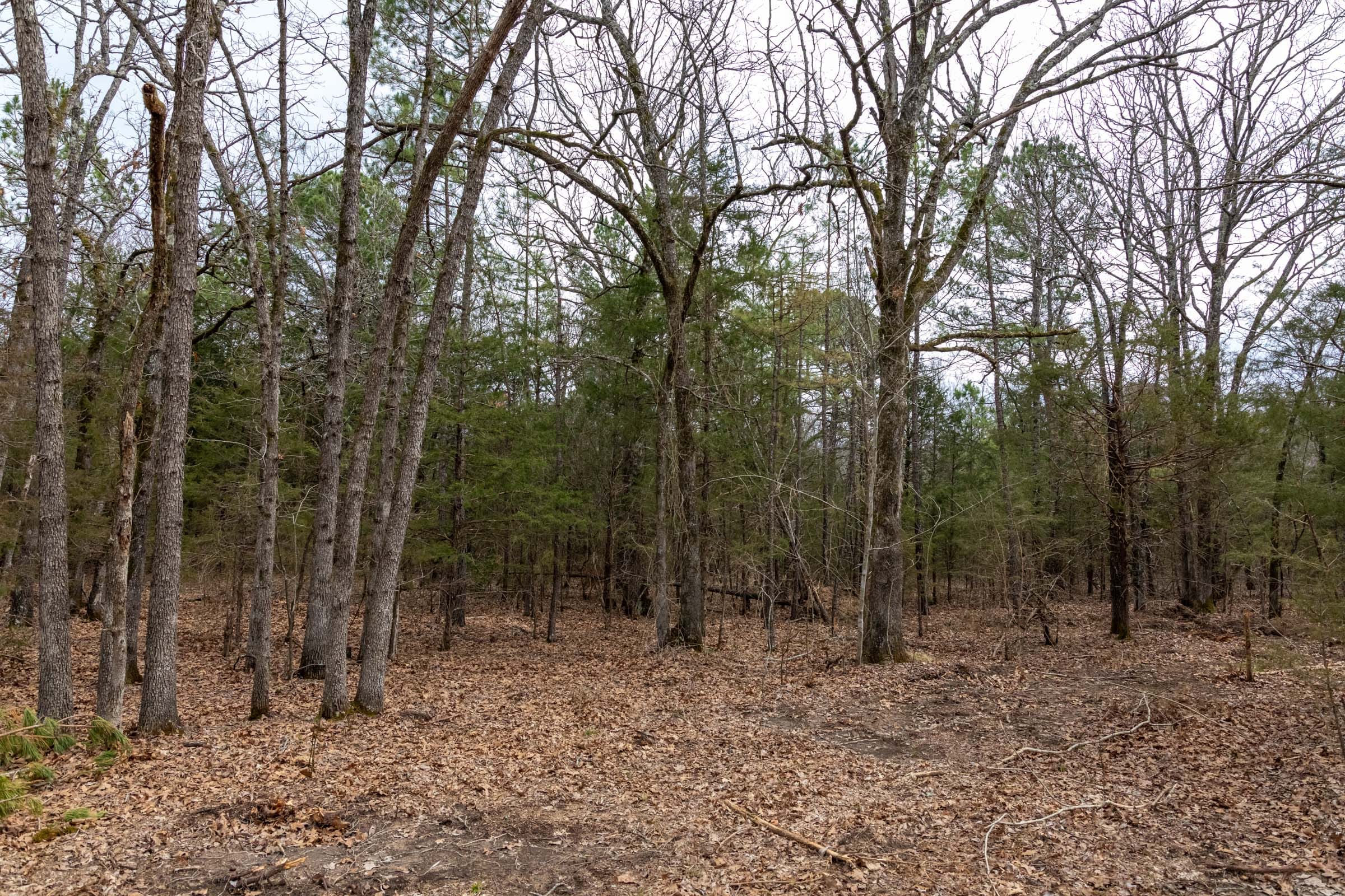 Stone Bridge Phase III Tract 168 photo 5