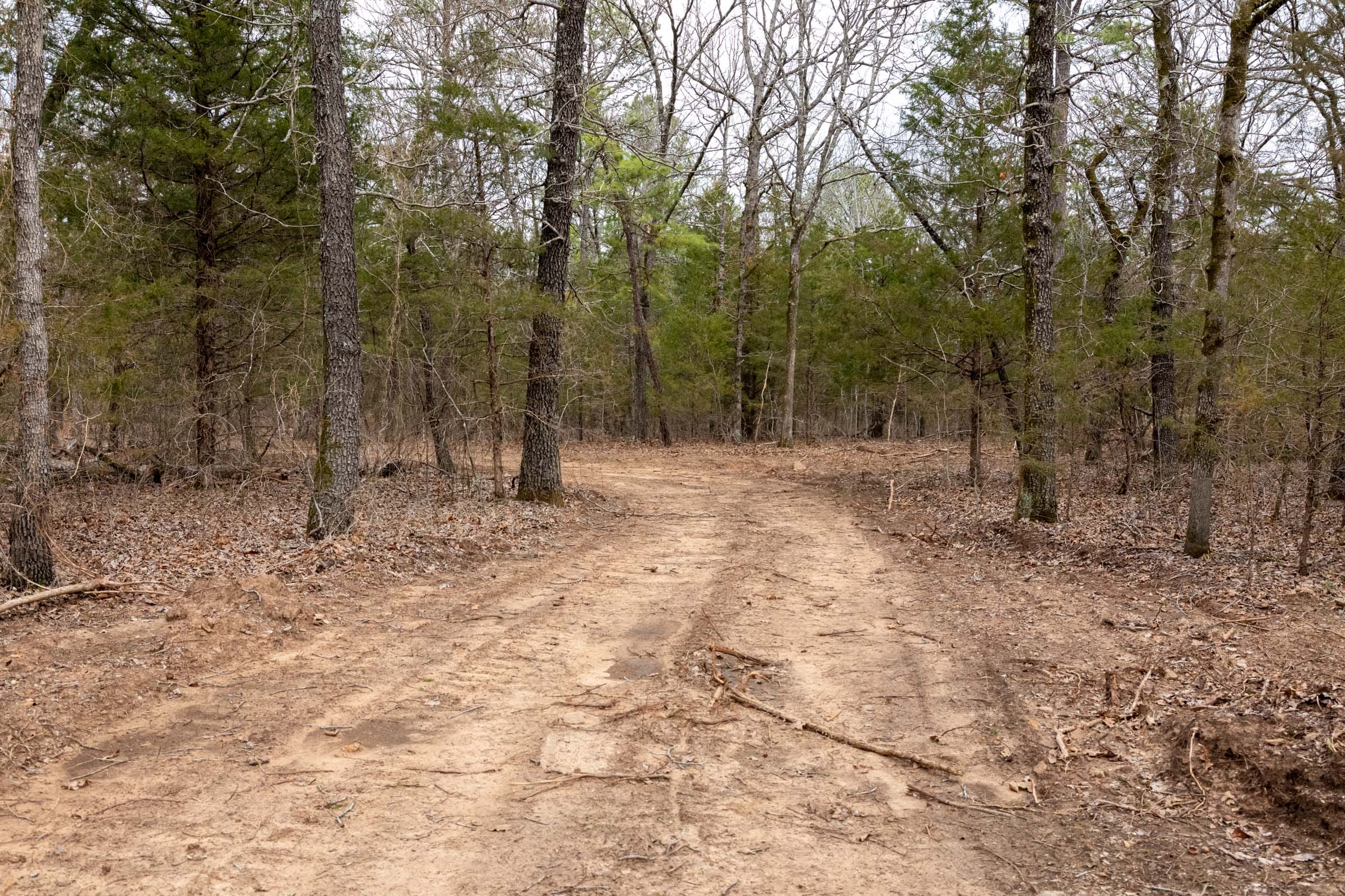 Stone Bridge Phase III Tract 168 photo 2