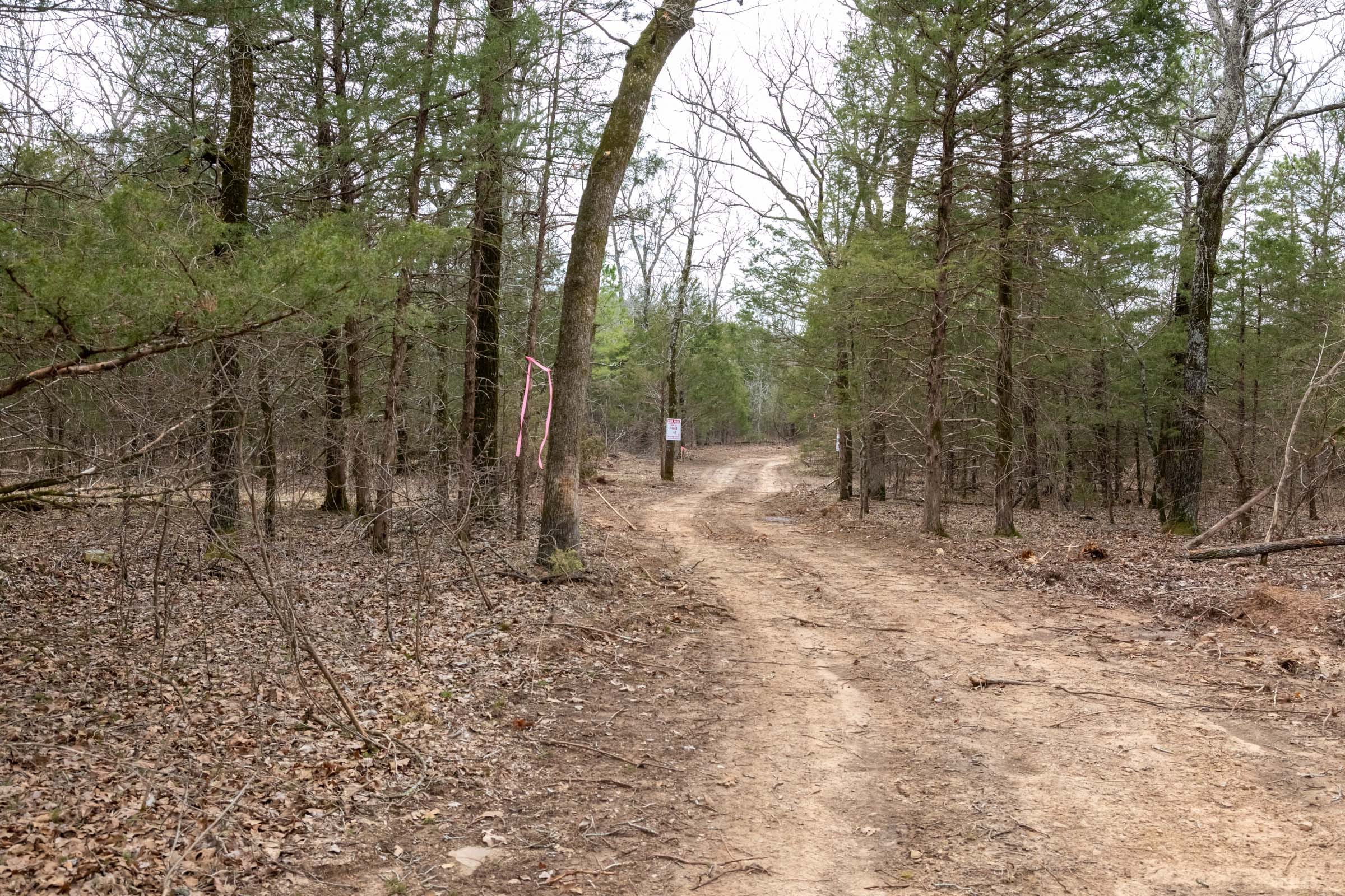 Stone Bridge Phase III Tract 168 photo 9