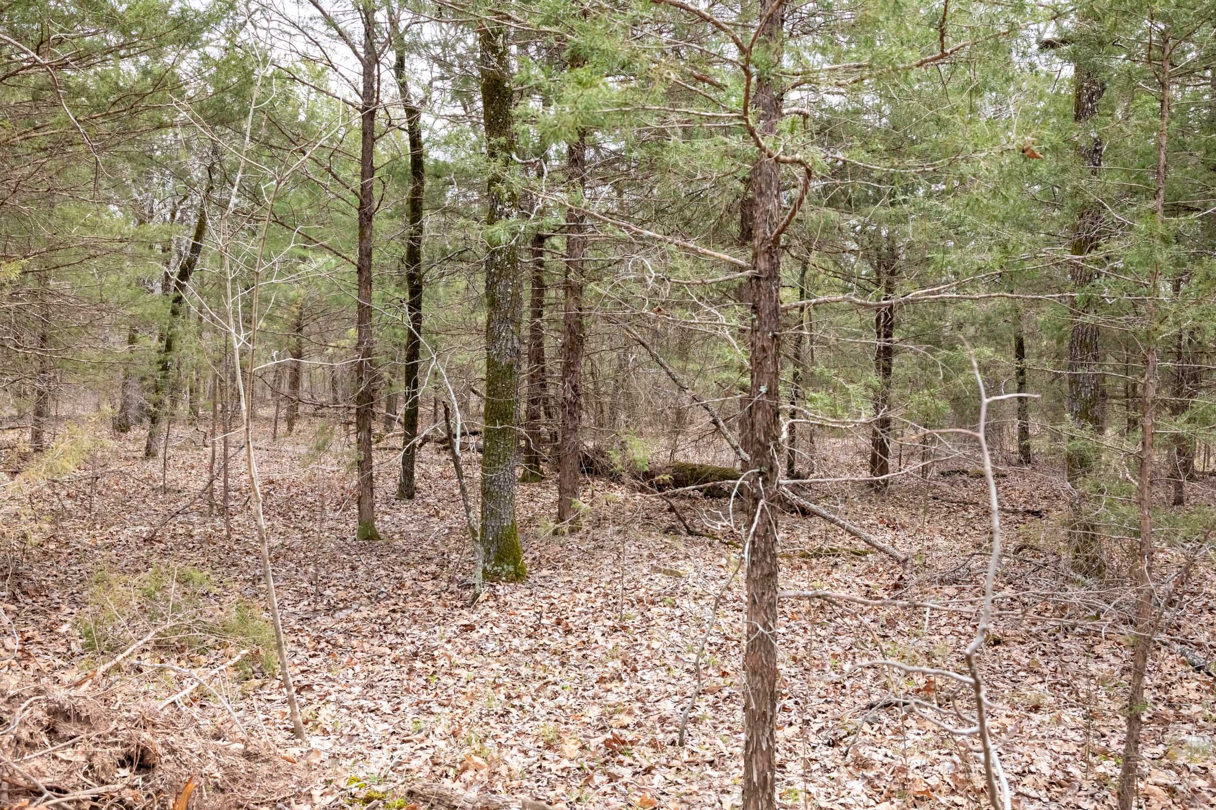 Stone Bridge Phase III Tract 168 photo 8