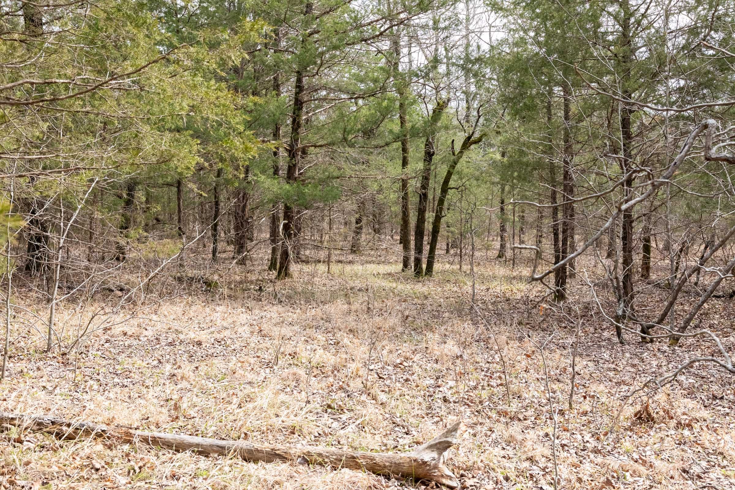 Stone Bridge Phase III Tract 168 photo 11