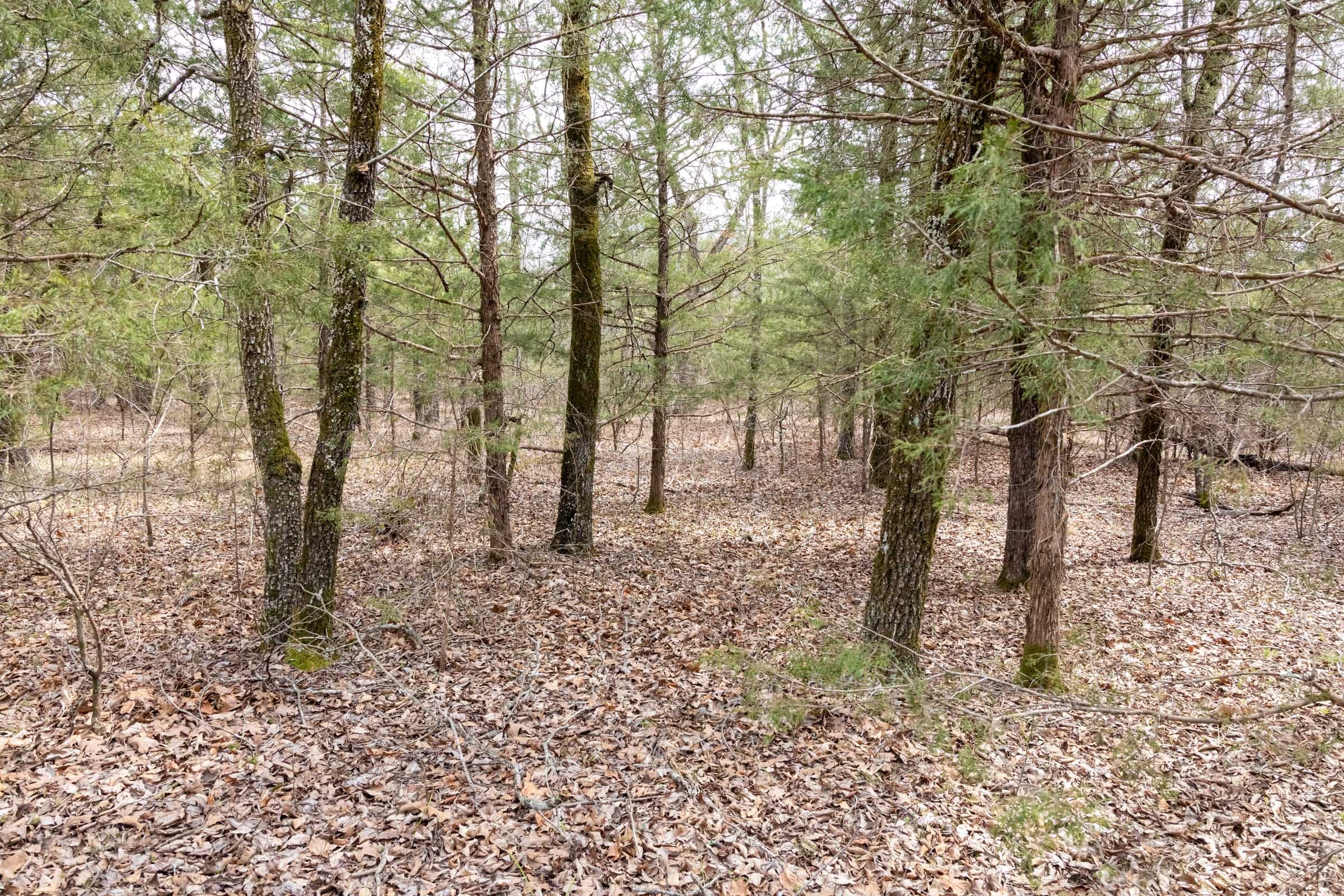 Stone Bridge Phase III Tract 168 photo 12