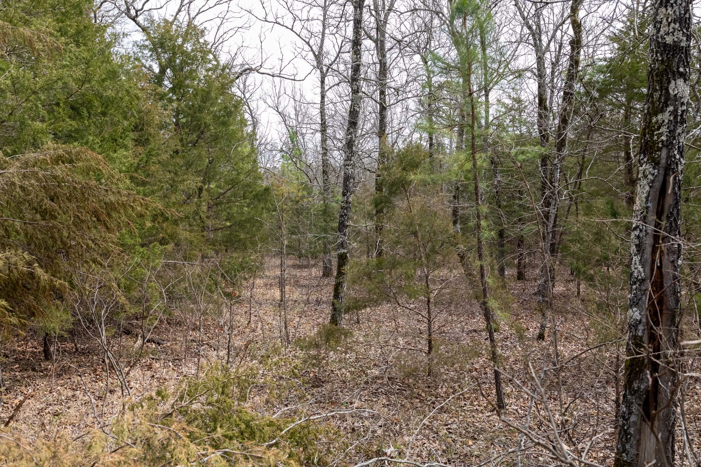 Stone Bridge Phase III Tract 168 photo 13