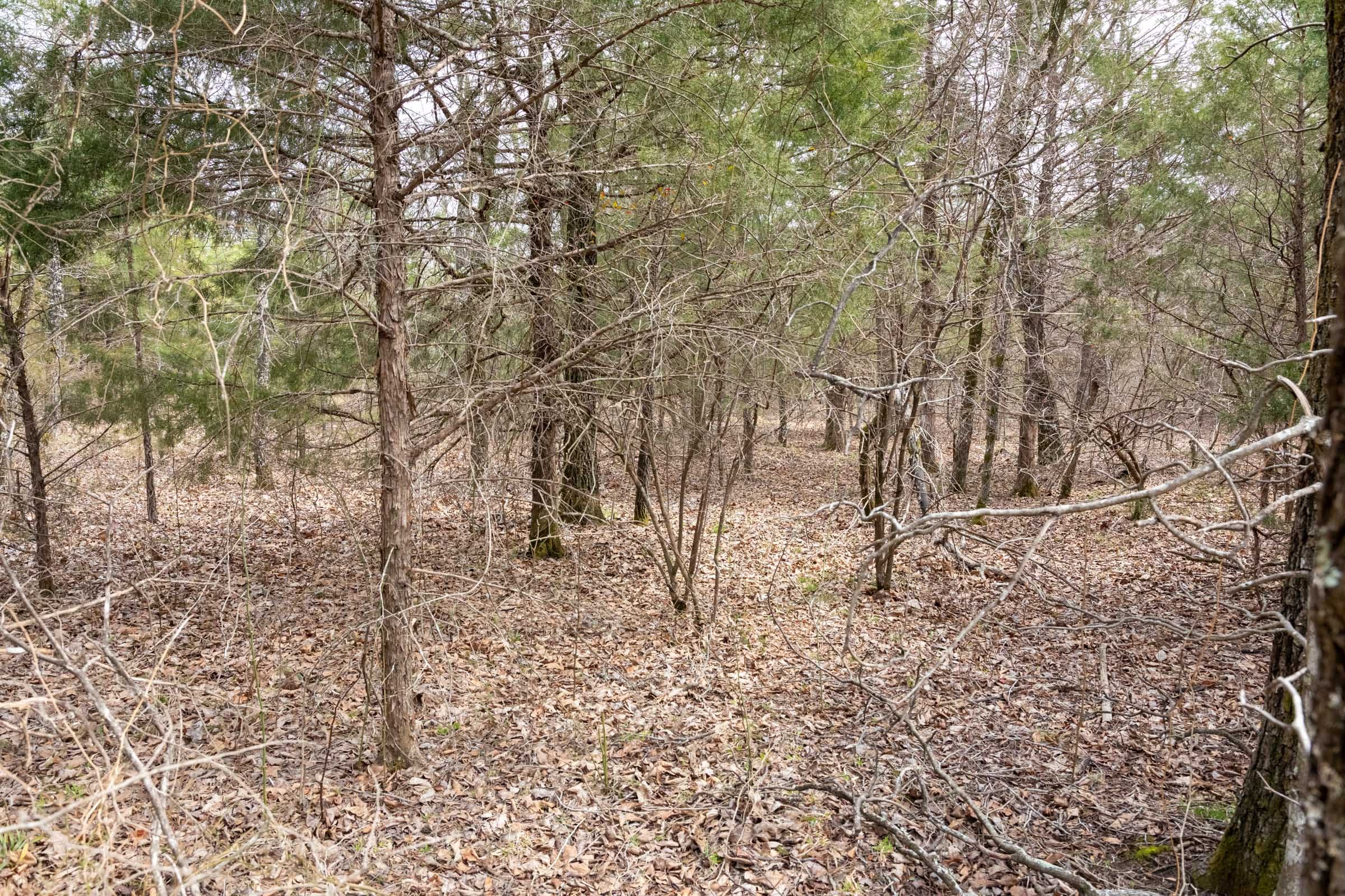 Stone Bridge Phase III Tract 168 photo 14