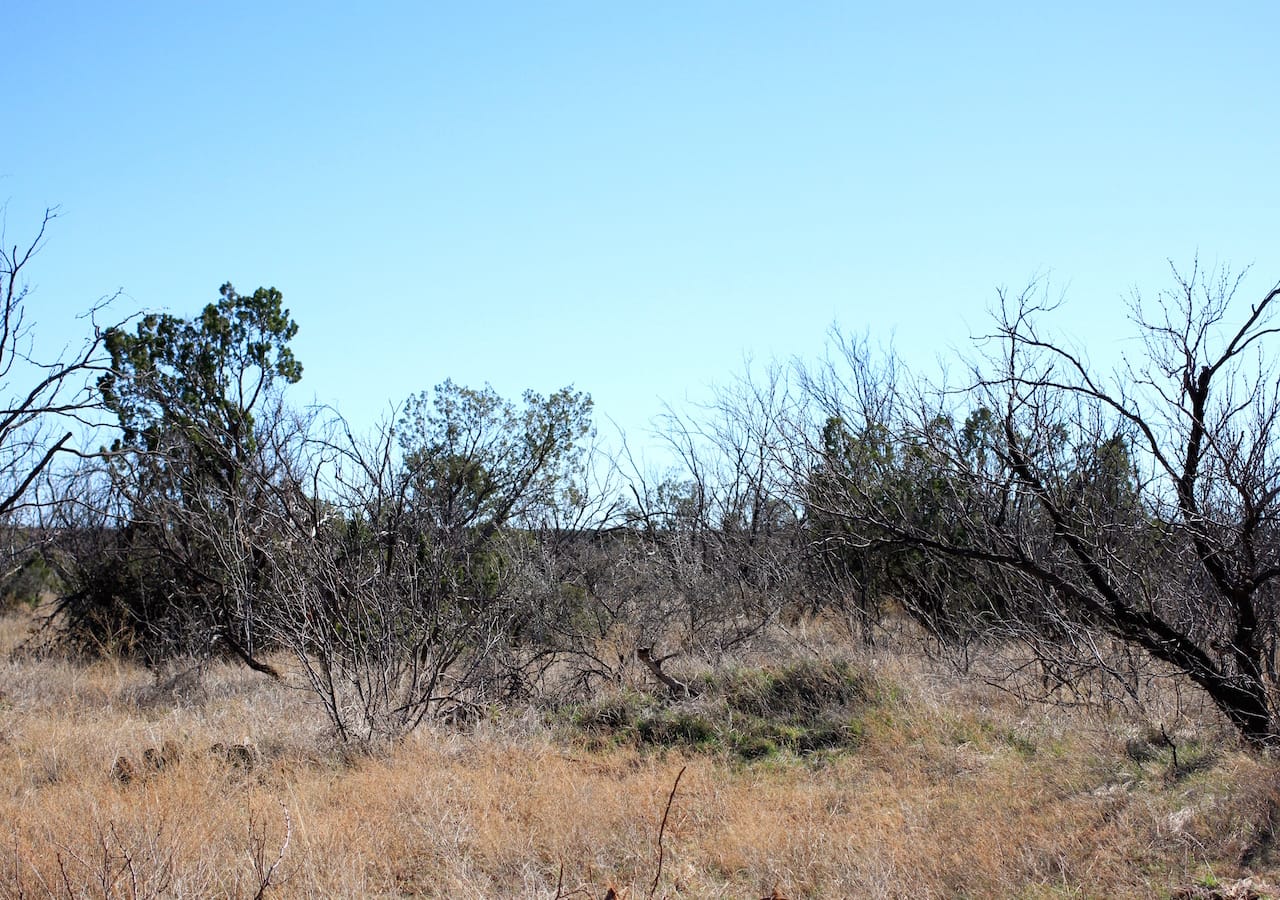 Red Rock Ranch Tract 14 photo 4