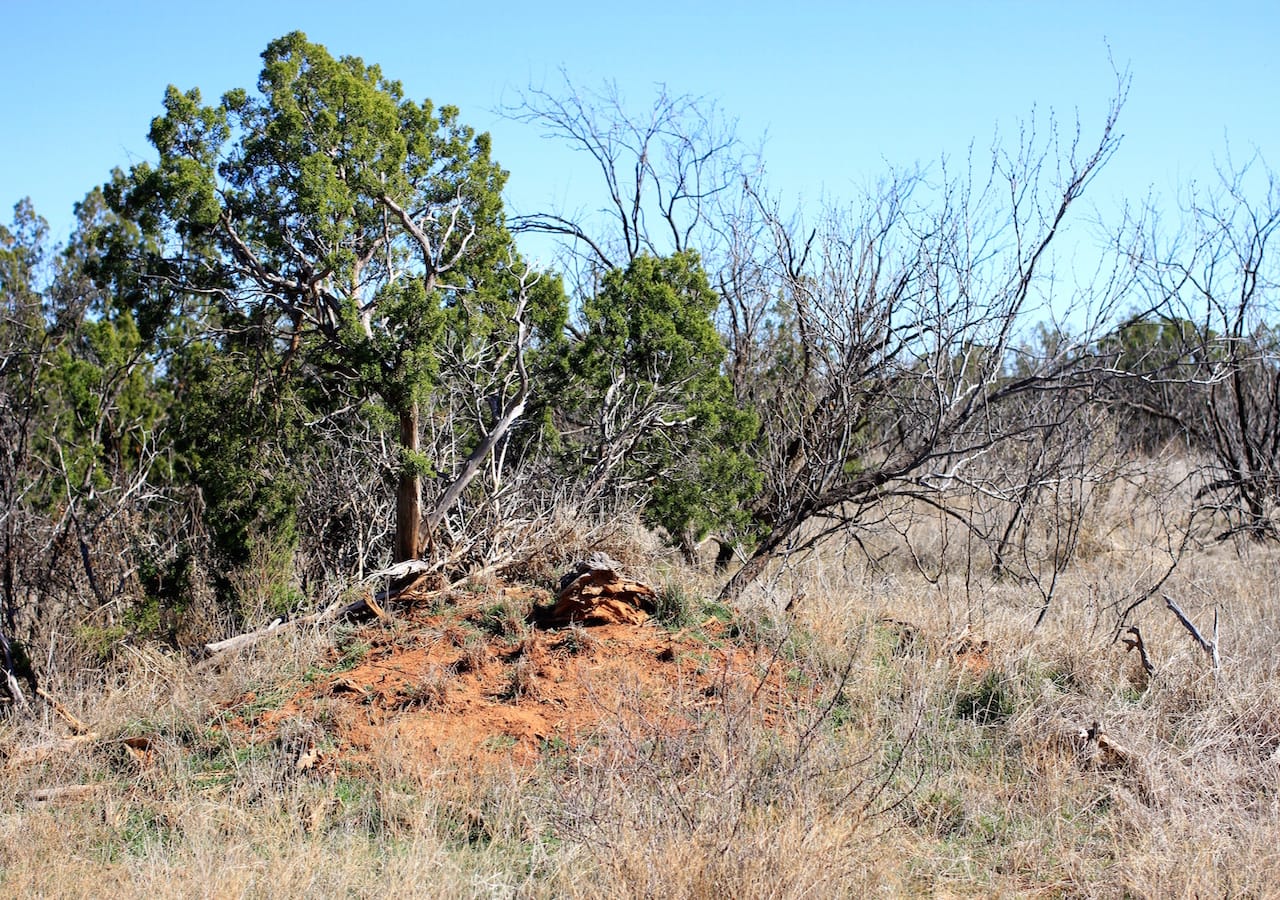Red Rock Ranch Tract 14 photo 5