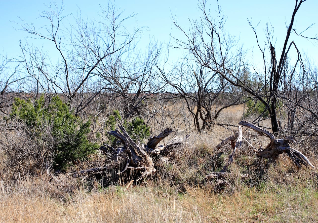 Red Rock Ranch Tract 14 photo 6
