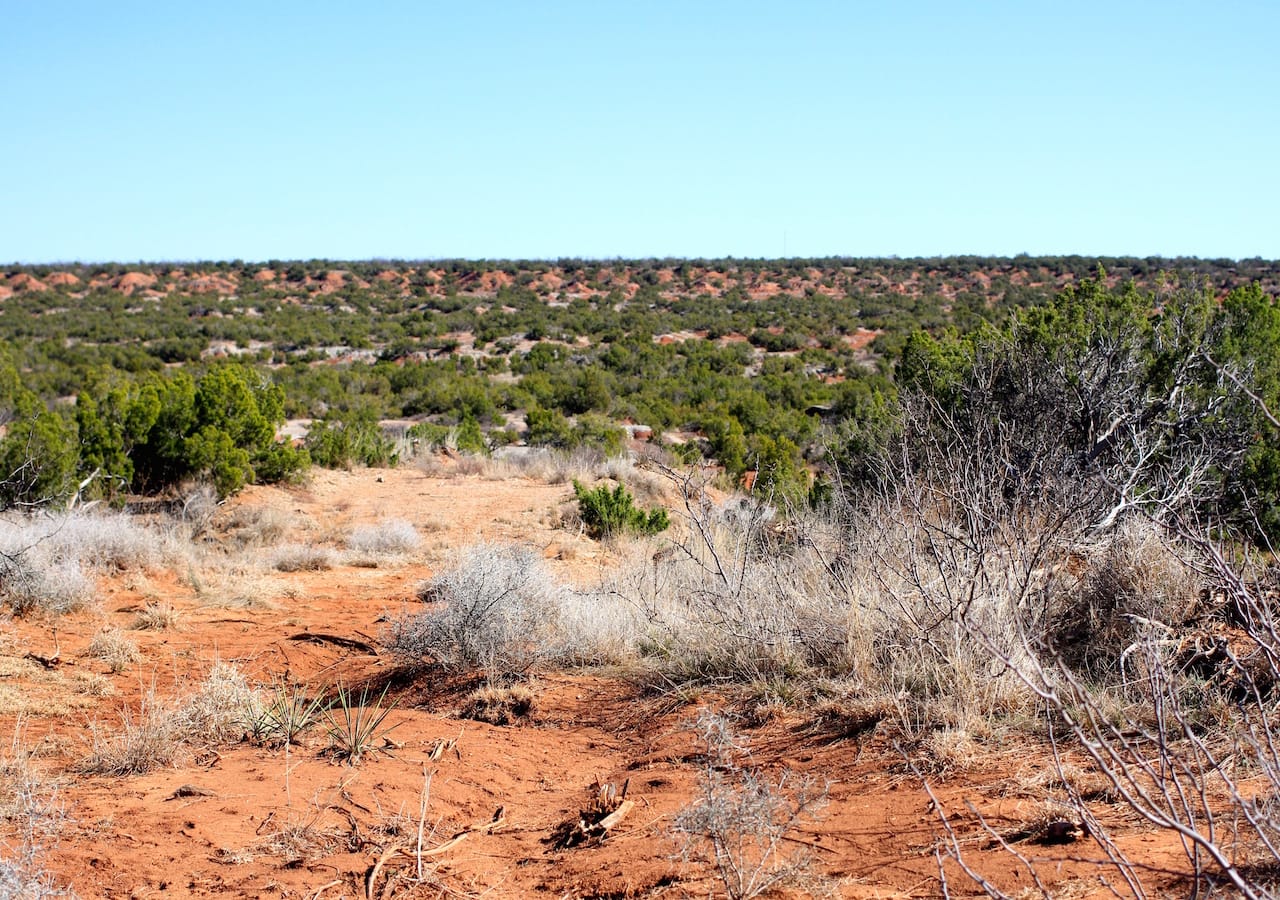 Red Rock Ranch Tract 14 photo 8