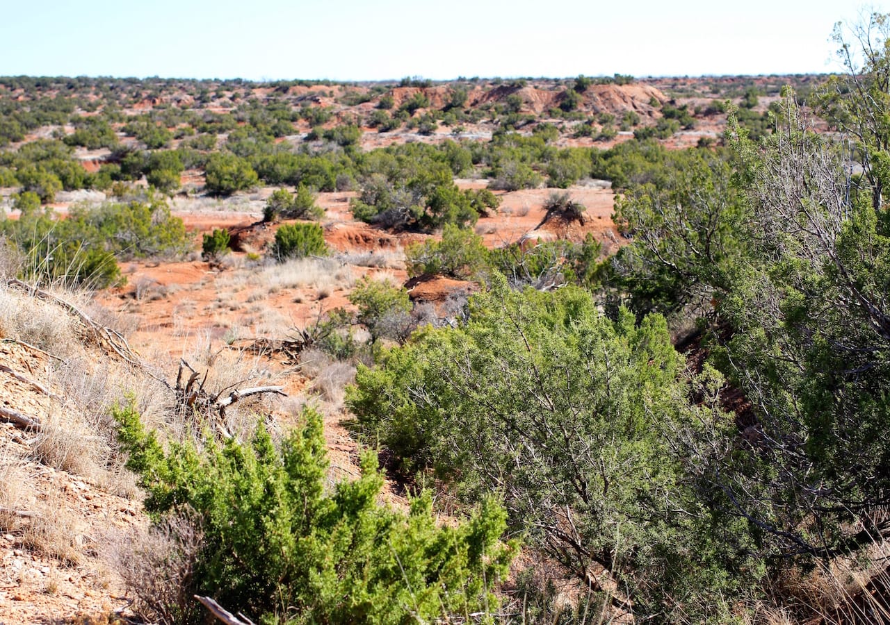 Red Rock Ranch Tract 14 photo 11