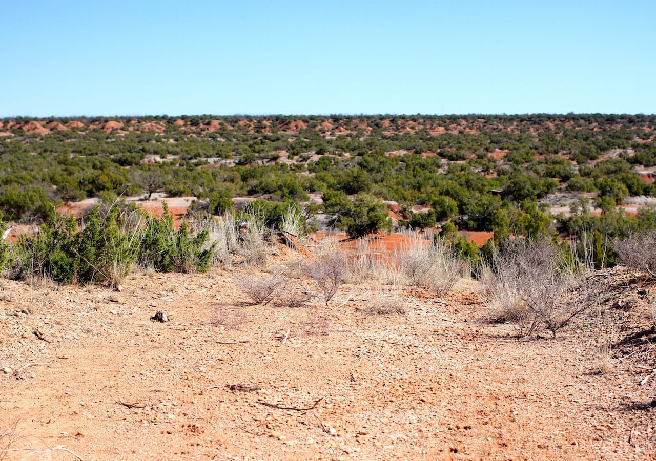 Red Rock Ranch Tract 14 photo 12