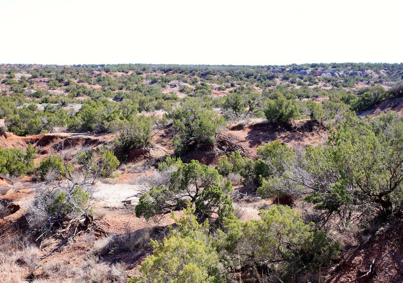Red Rock Ranch Tract 14 photo 13