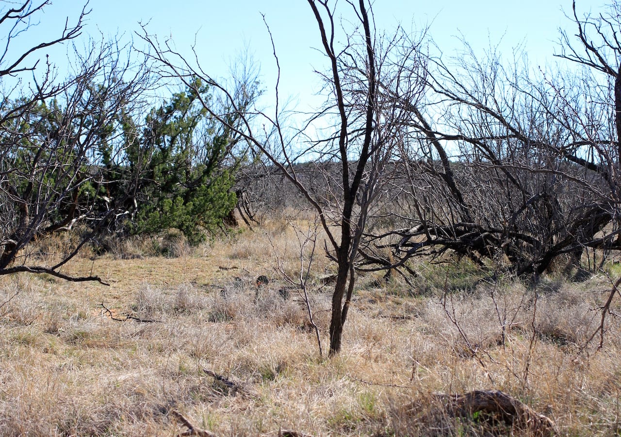 Red Rock Ranch Tract 14 photo 14