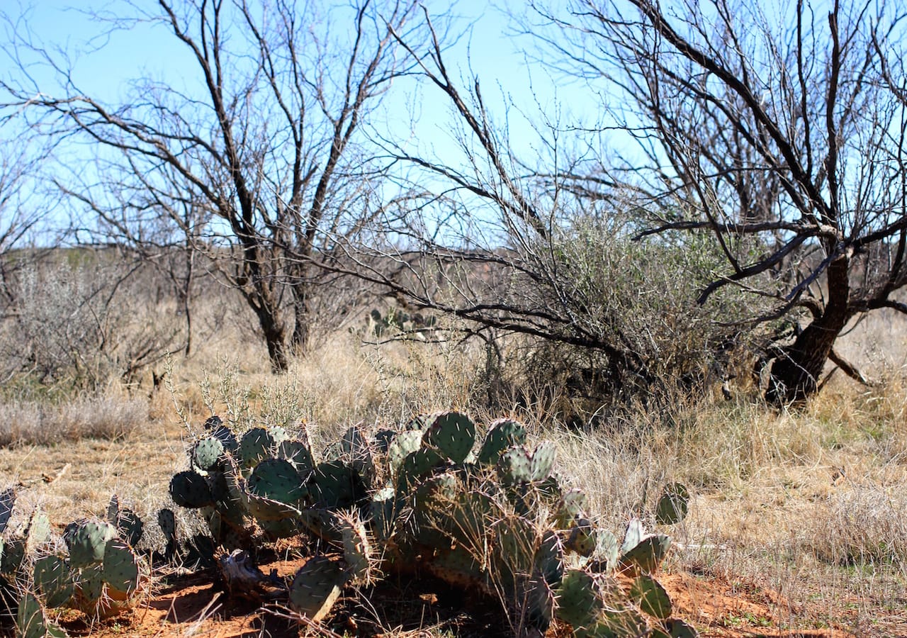 Red Rock Ranch Tract 14 photo 15