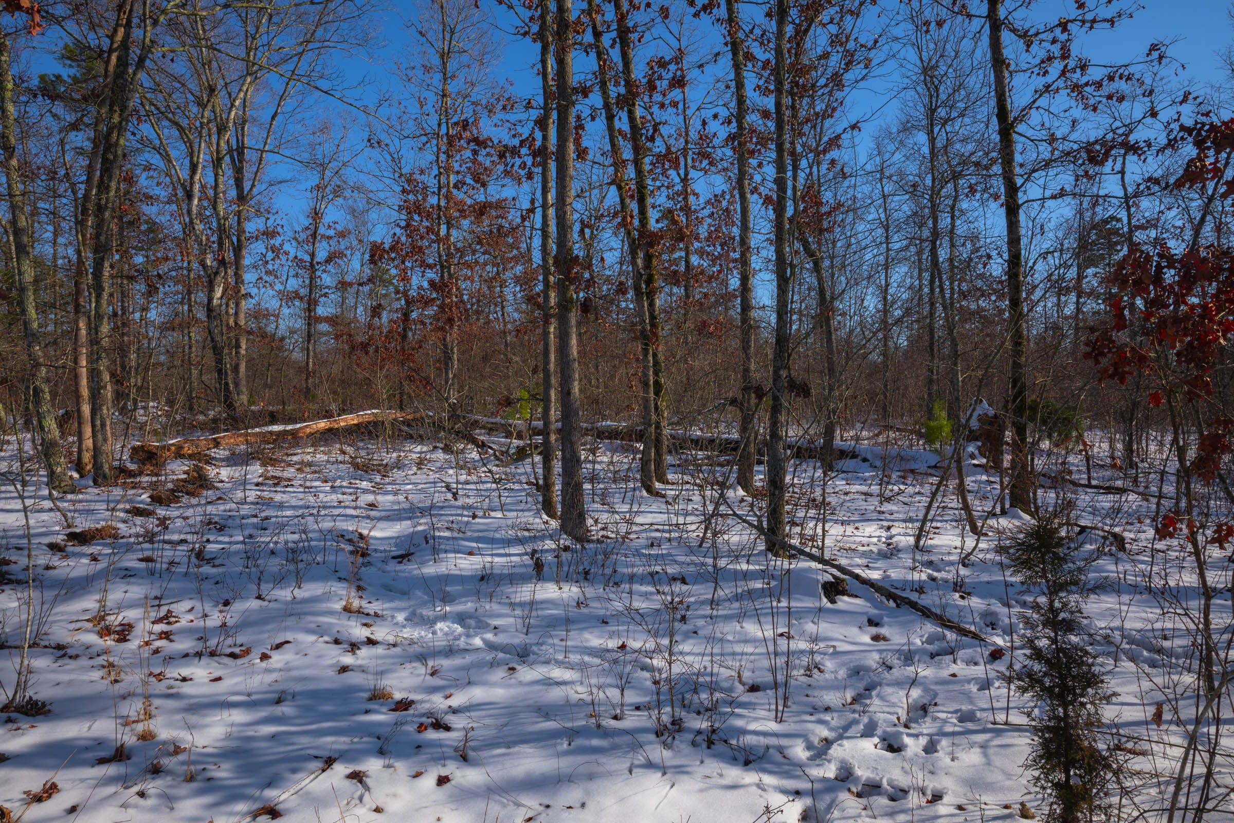 Sleepy Hollow Phase I Tract 43 photo 9