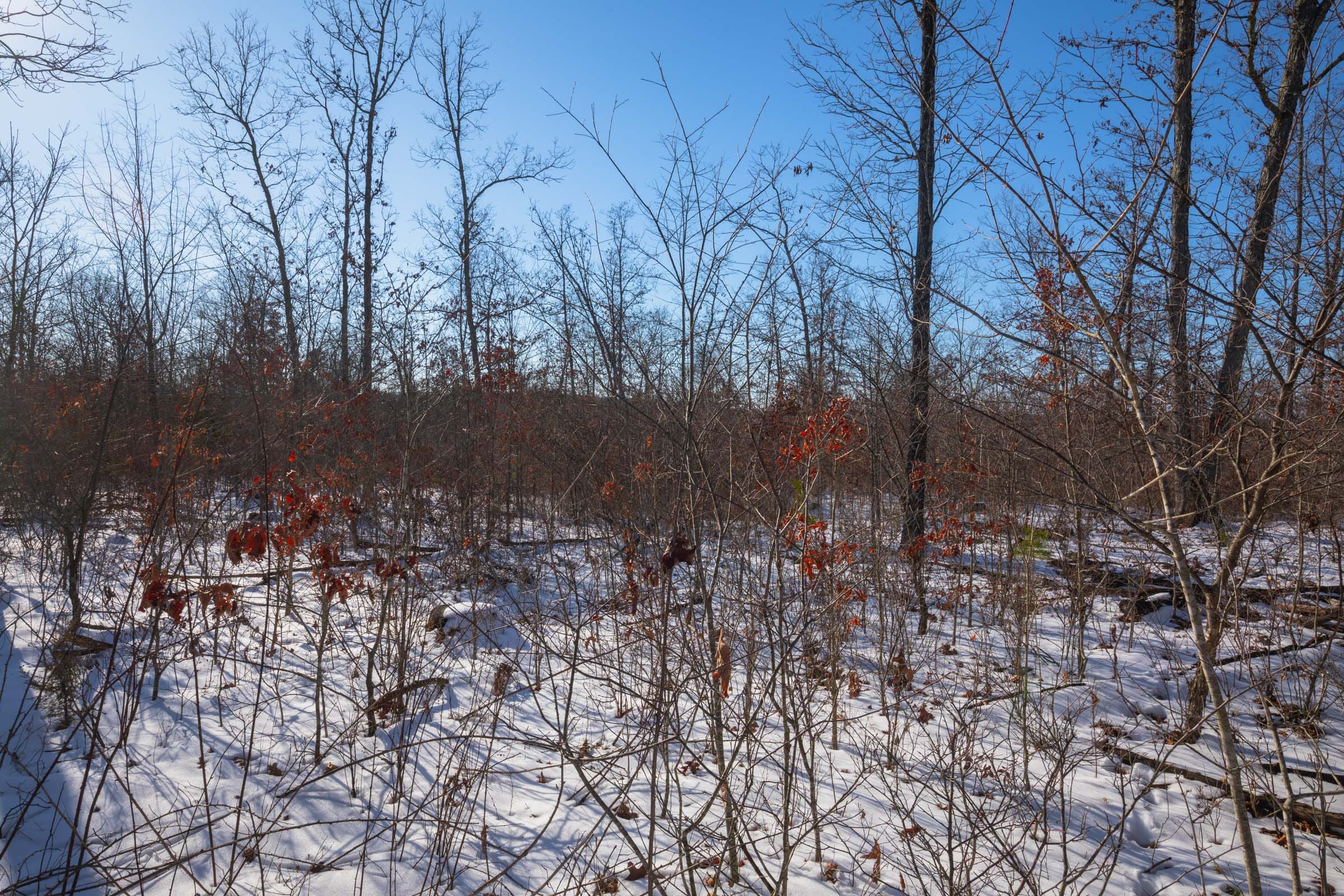 Sleepy Hollow Phase I Tract 43 photo 8