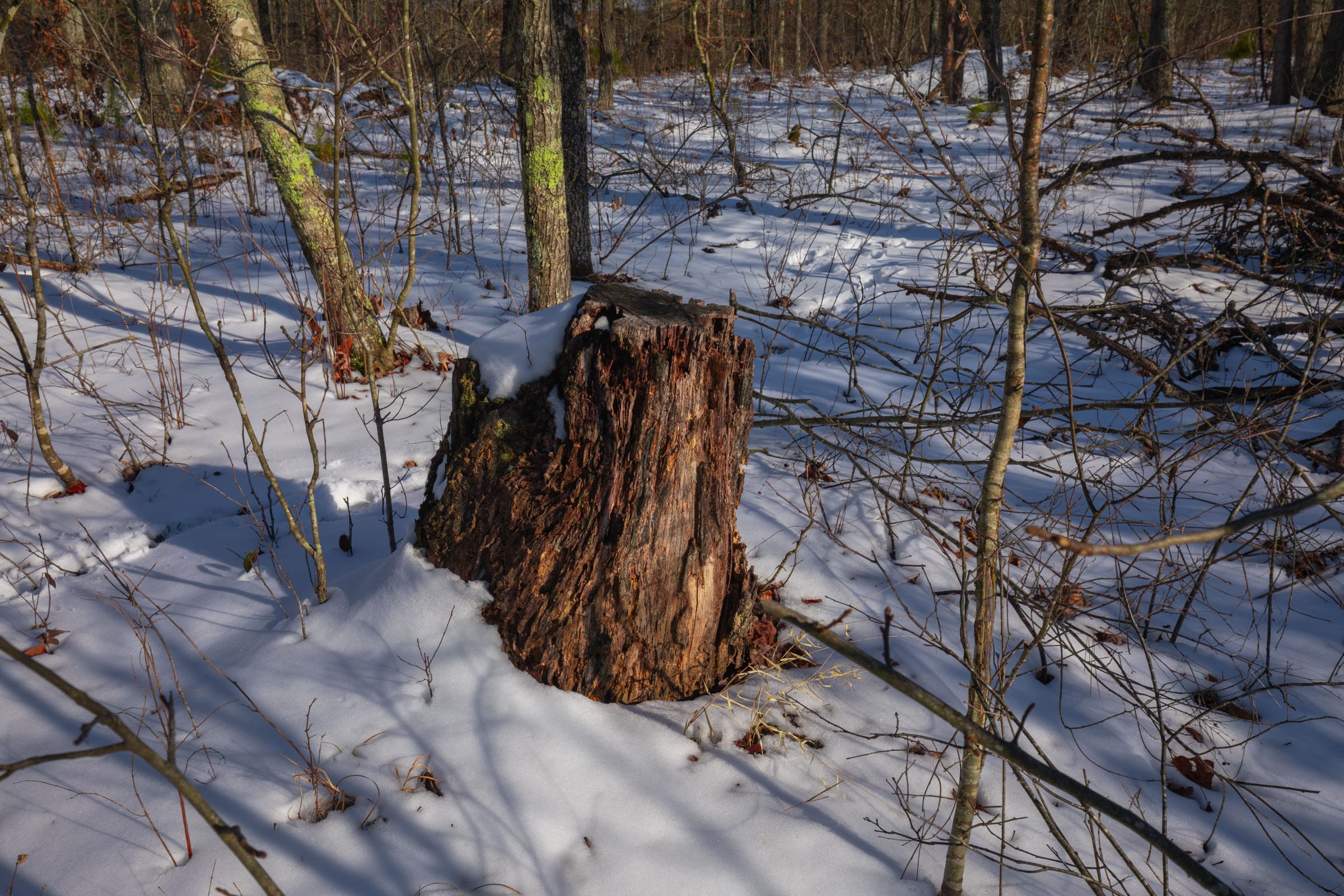 Sleepy Hollow Phase I Tract 43 photo 7
