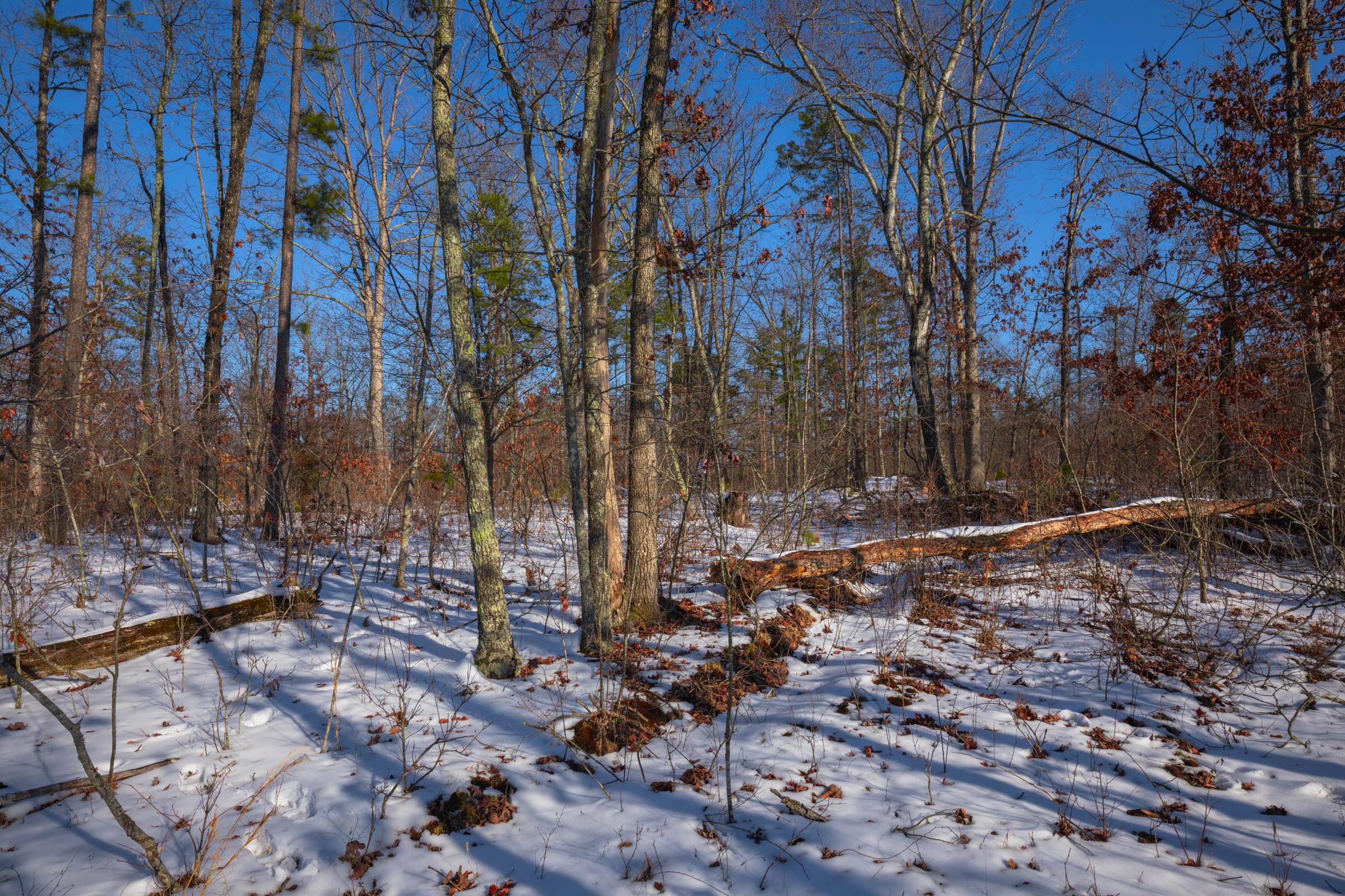 Sleepy Hollow Phase I Tract 43 photo 3