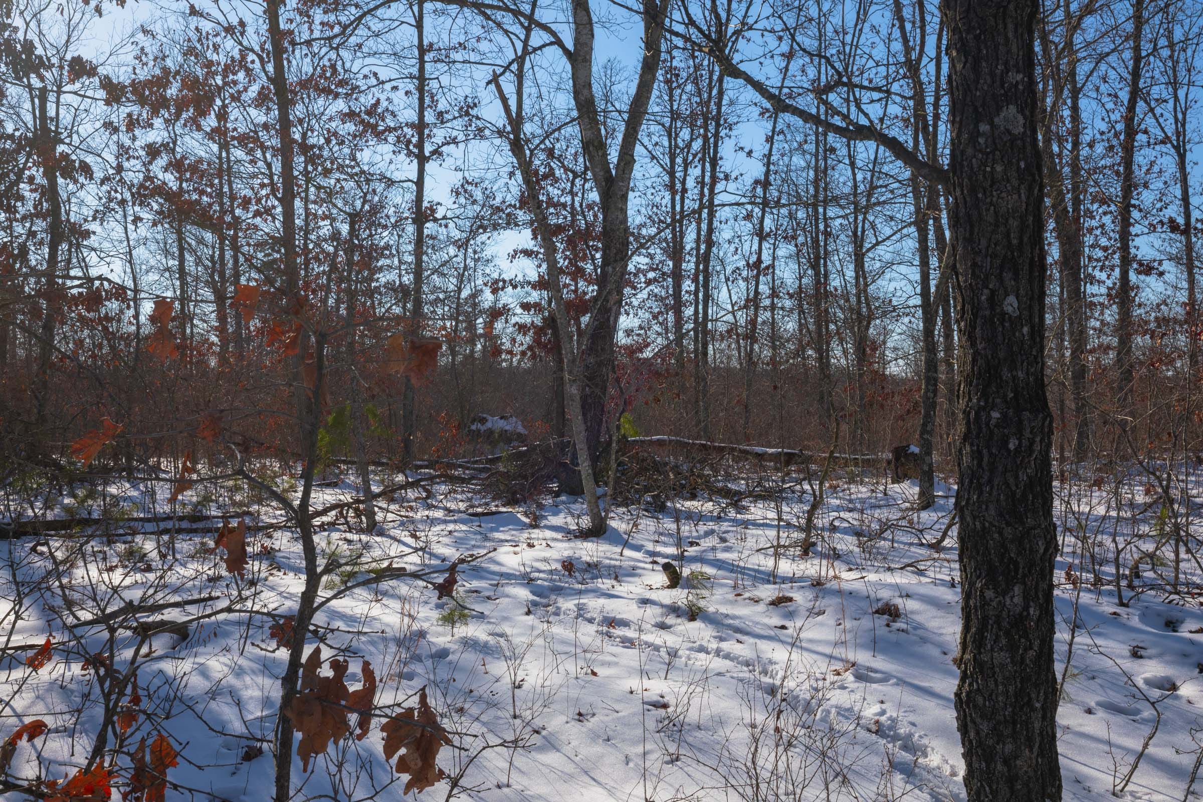 Sleepy Hollow Phase I Tract 43 photo 5