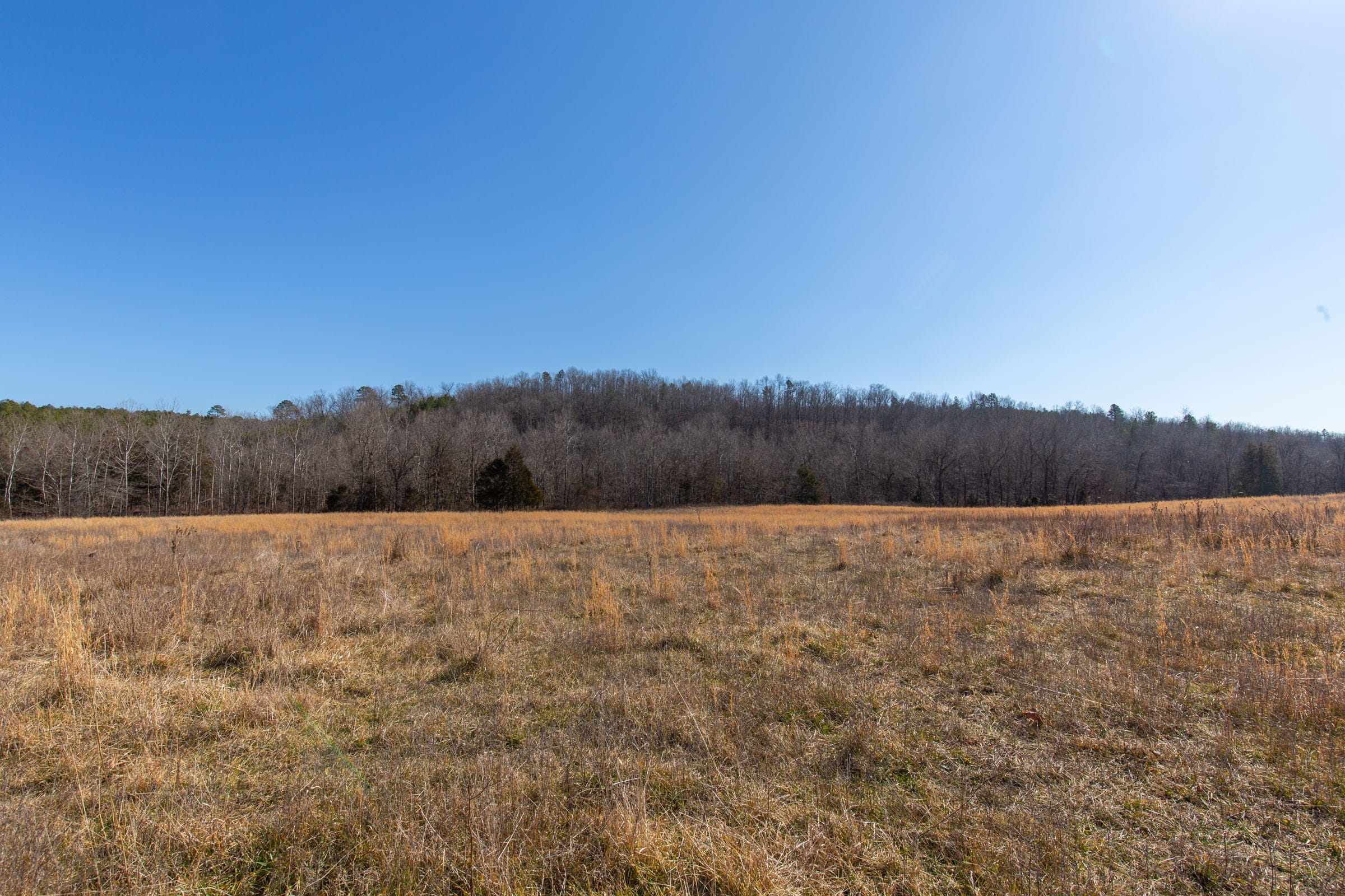 O’Connor Crossing Tract 20 photo 2