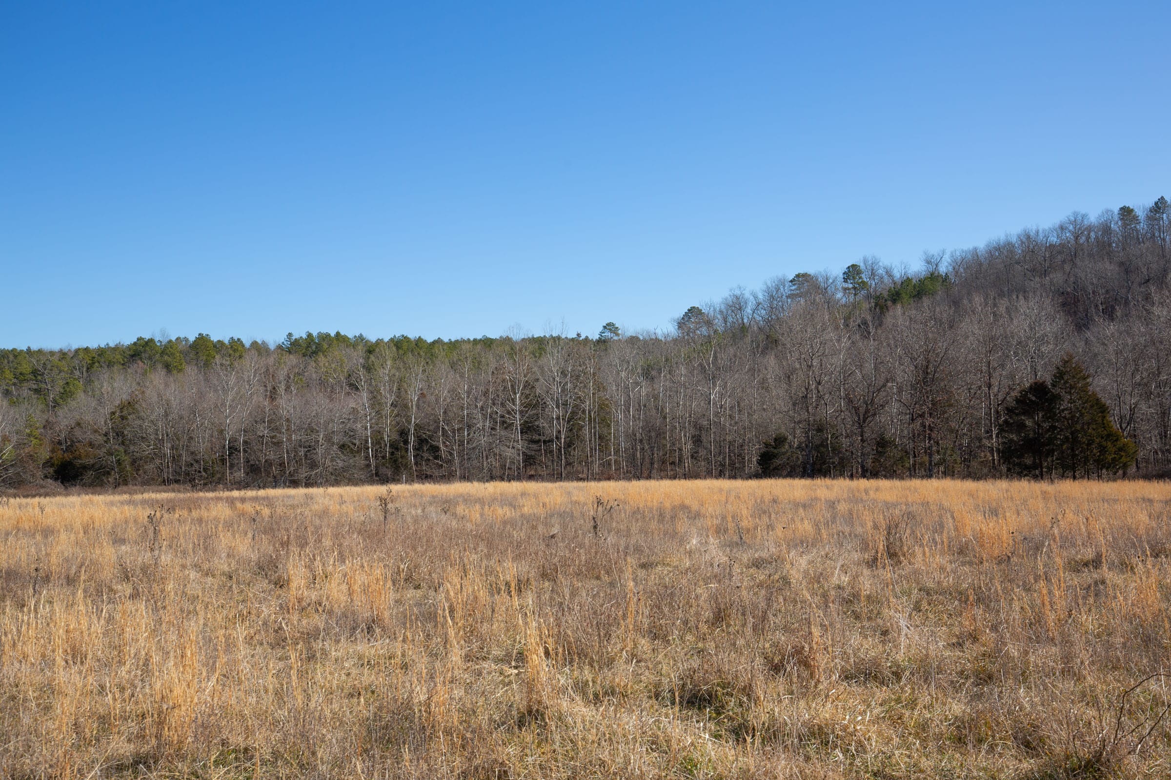 O’Connor Crossing Tract 20 photo 3