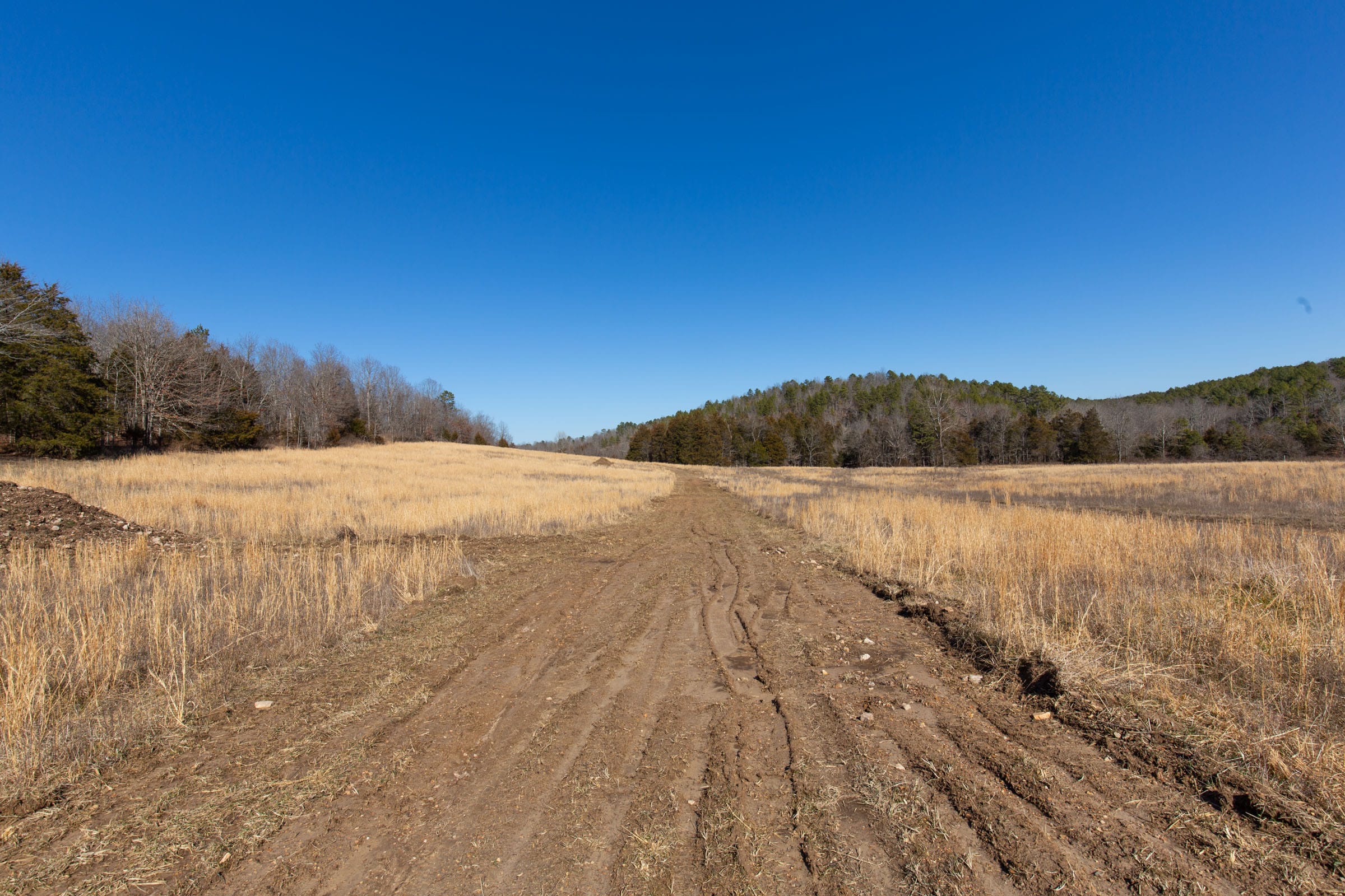 O’Connor Crossing Tract 20 photo 4
