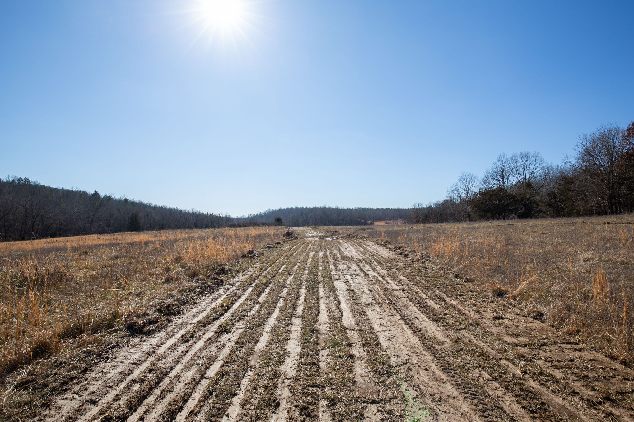 O’Connor Crossing Tract 20 photo 5