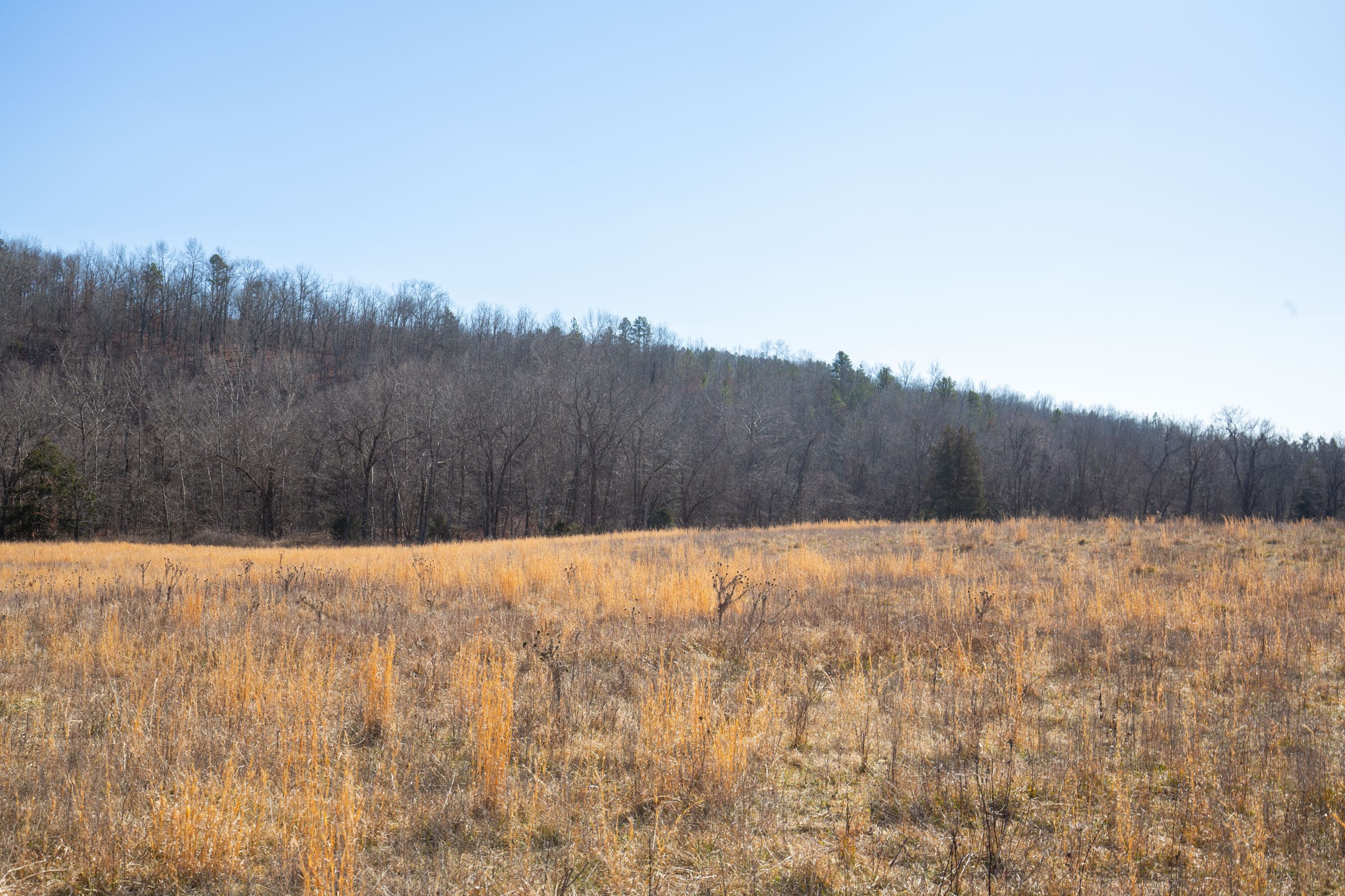 O’Connor Crossing Tract 20 photo 7