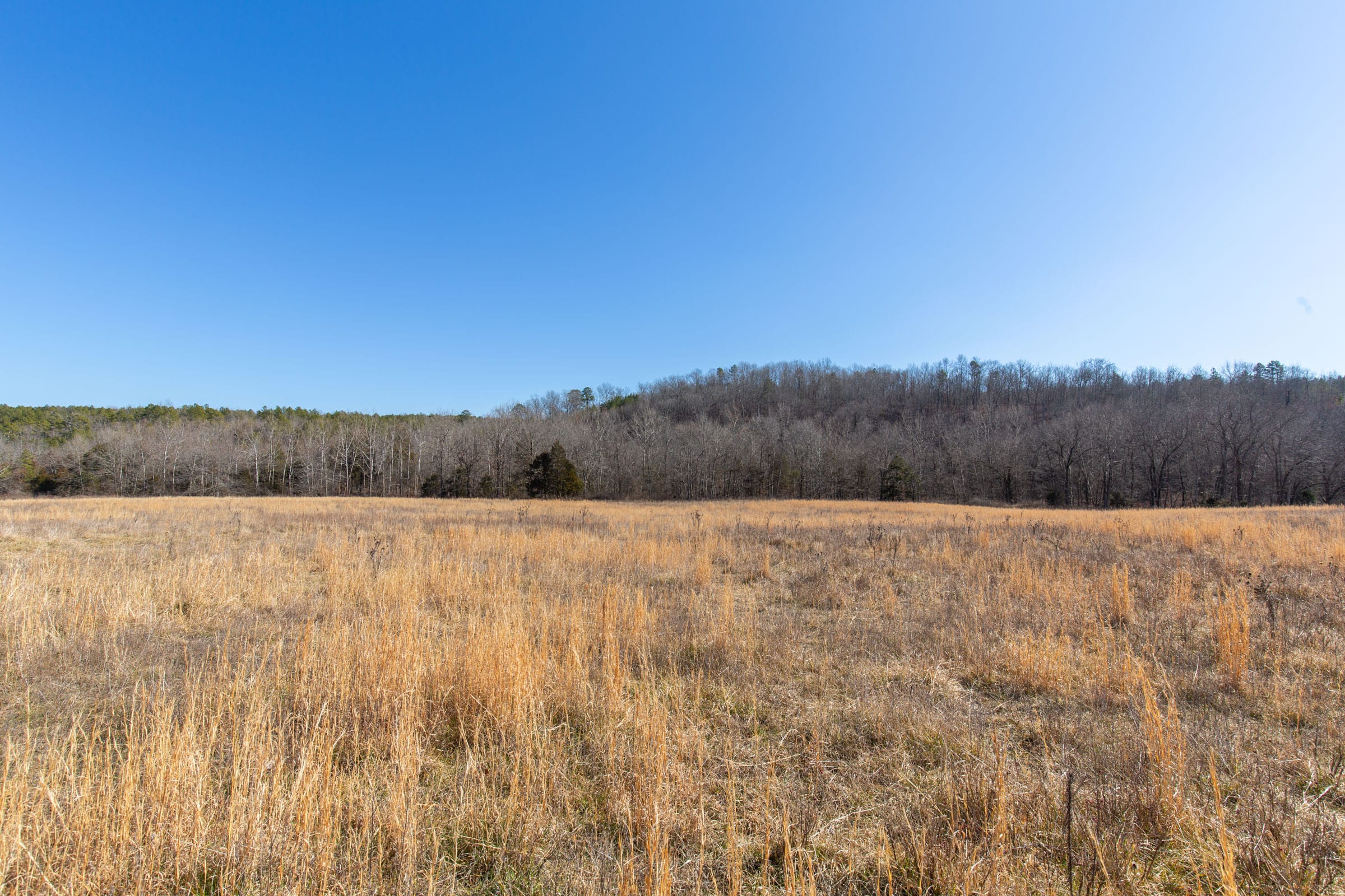 O’Connor Crossing Tract 20 photo 8