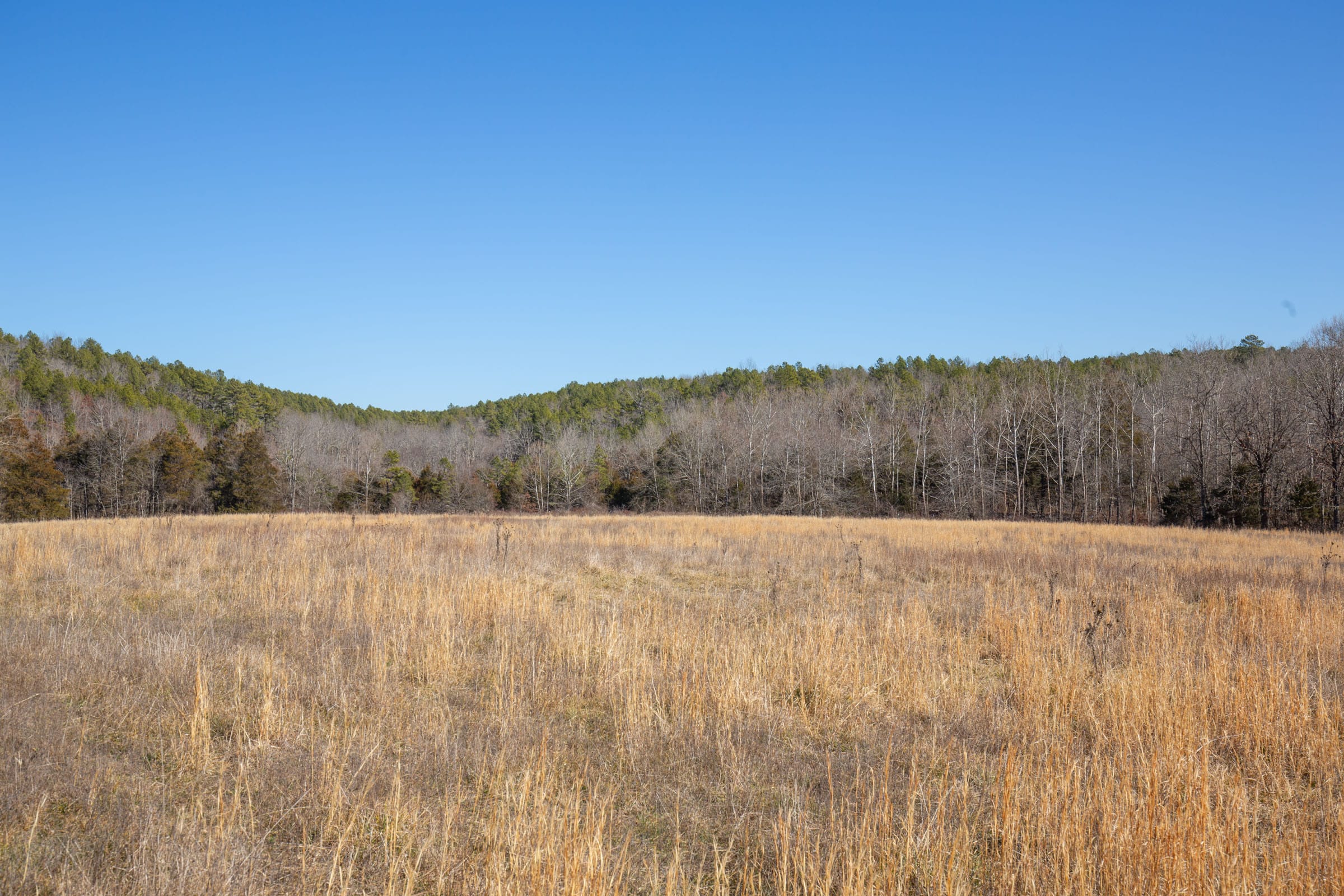 O’Connor Crossing Tract 20 photo 9